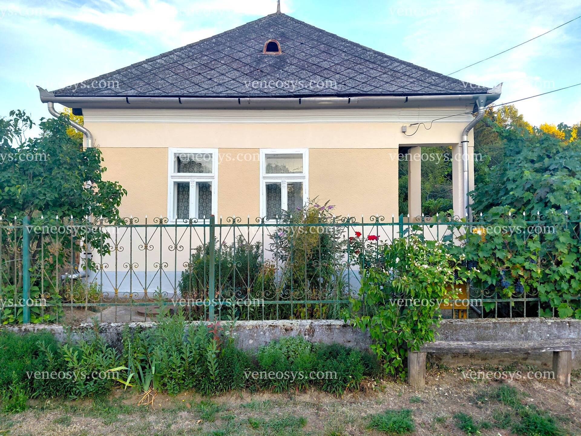 Kép 1