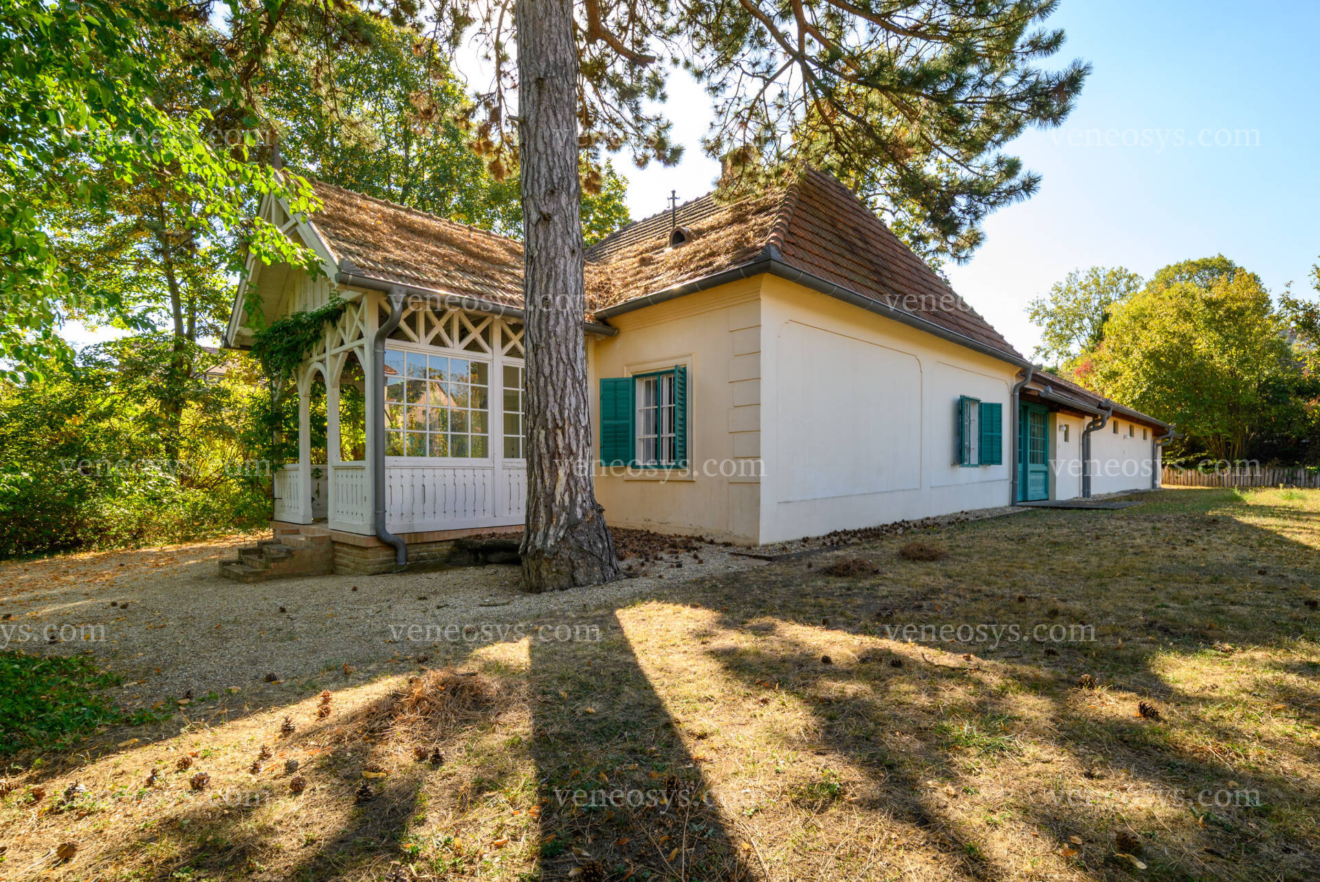 Kép 4