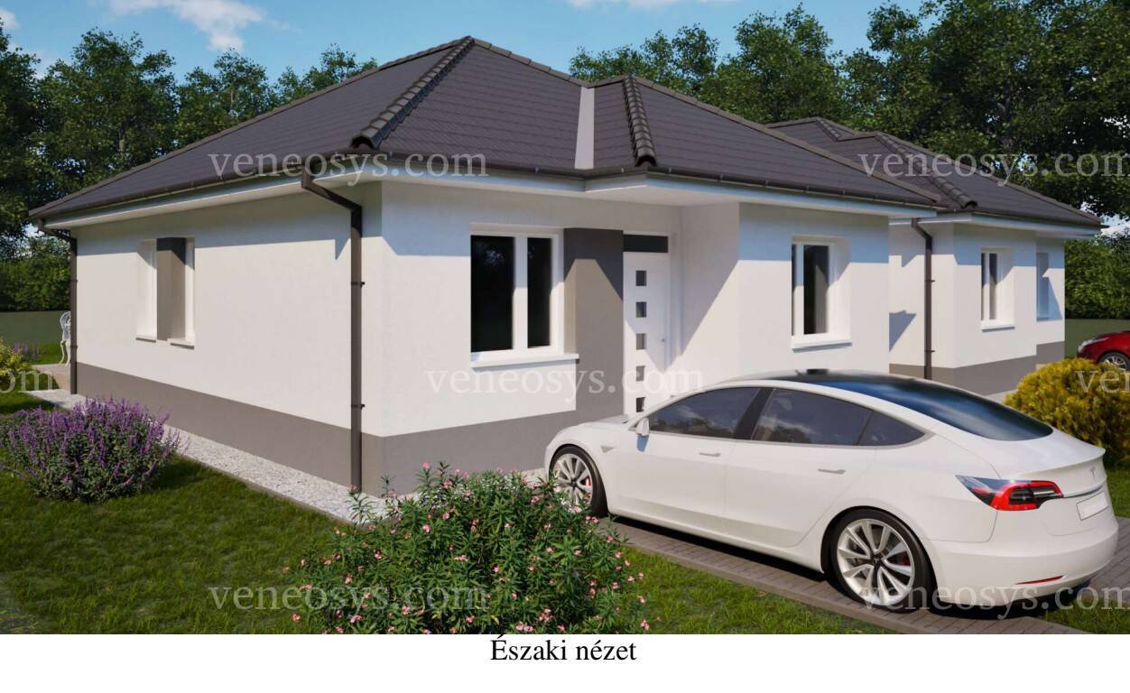 Kép 8