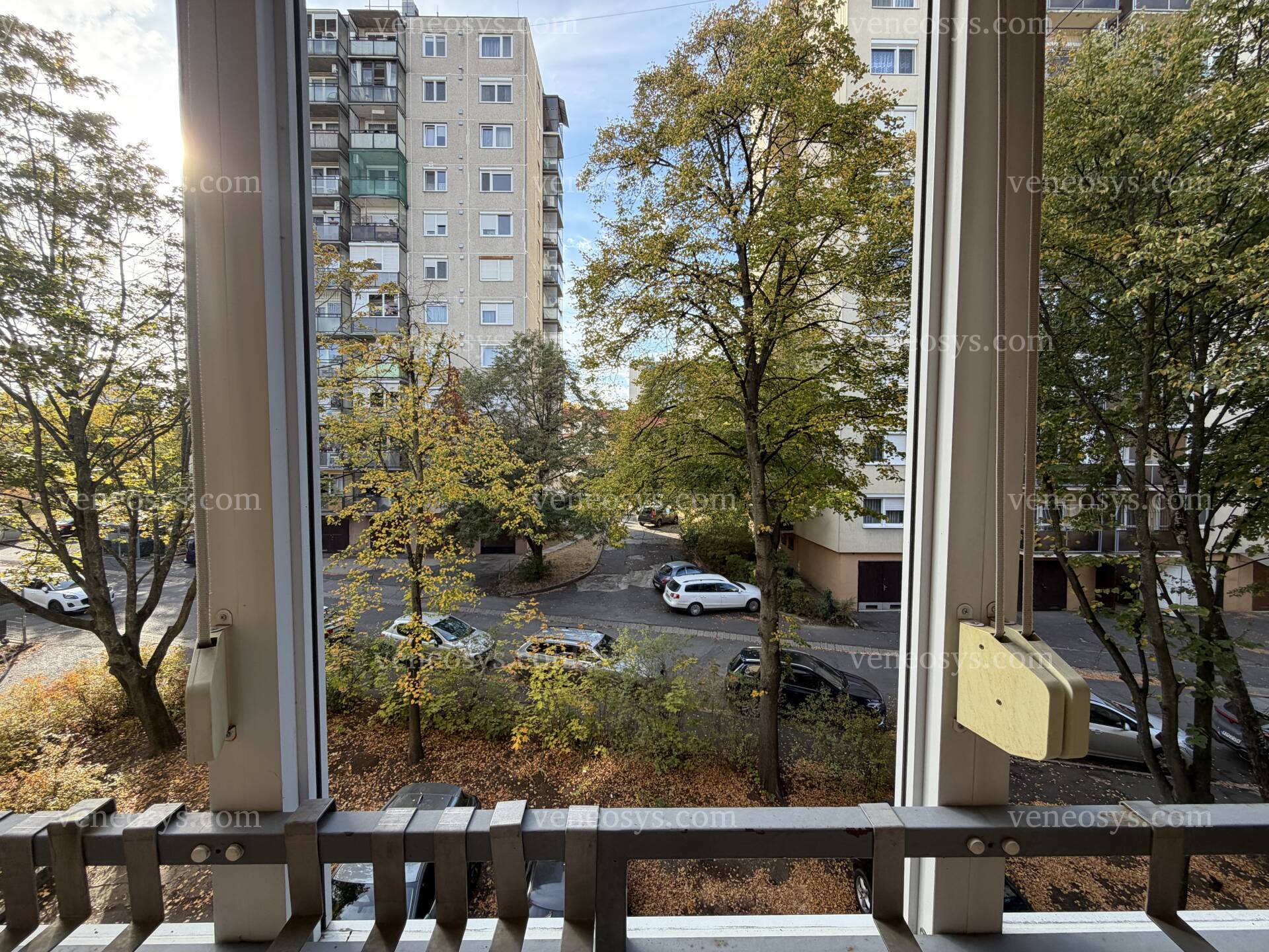 Kép 6