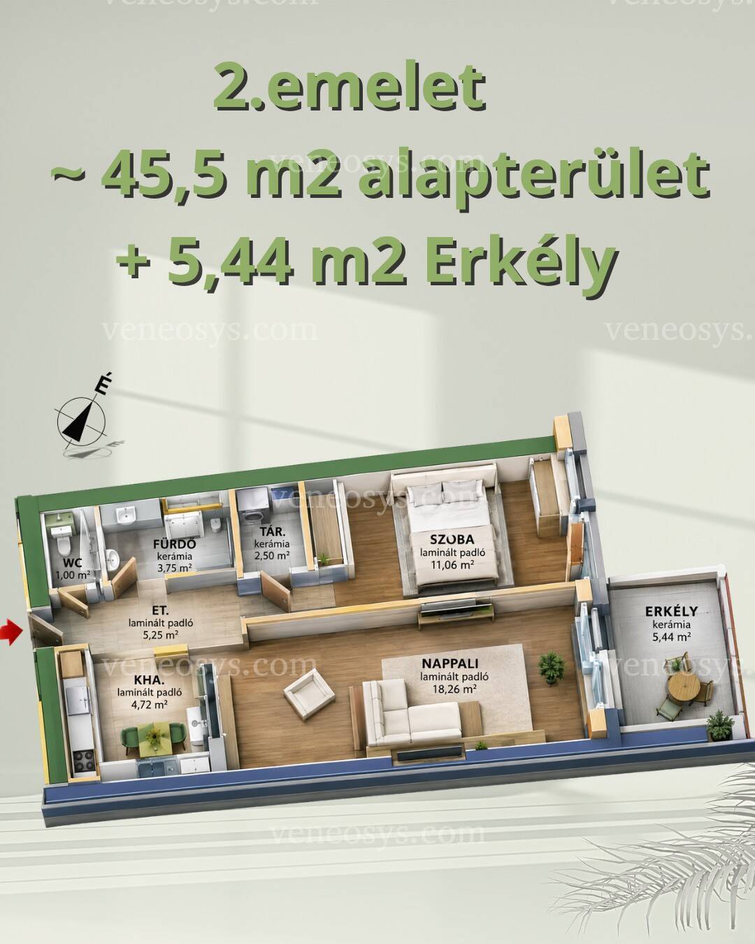 Kép 2
