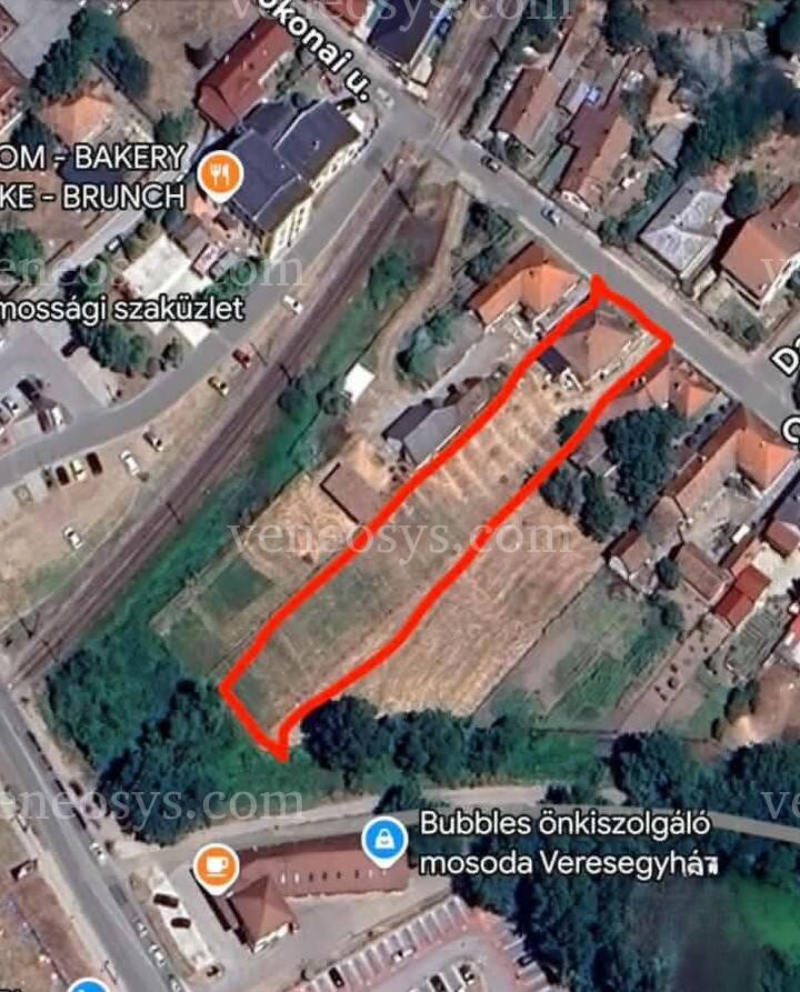 Kép 12