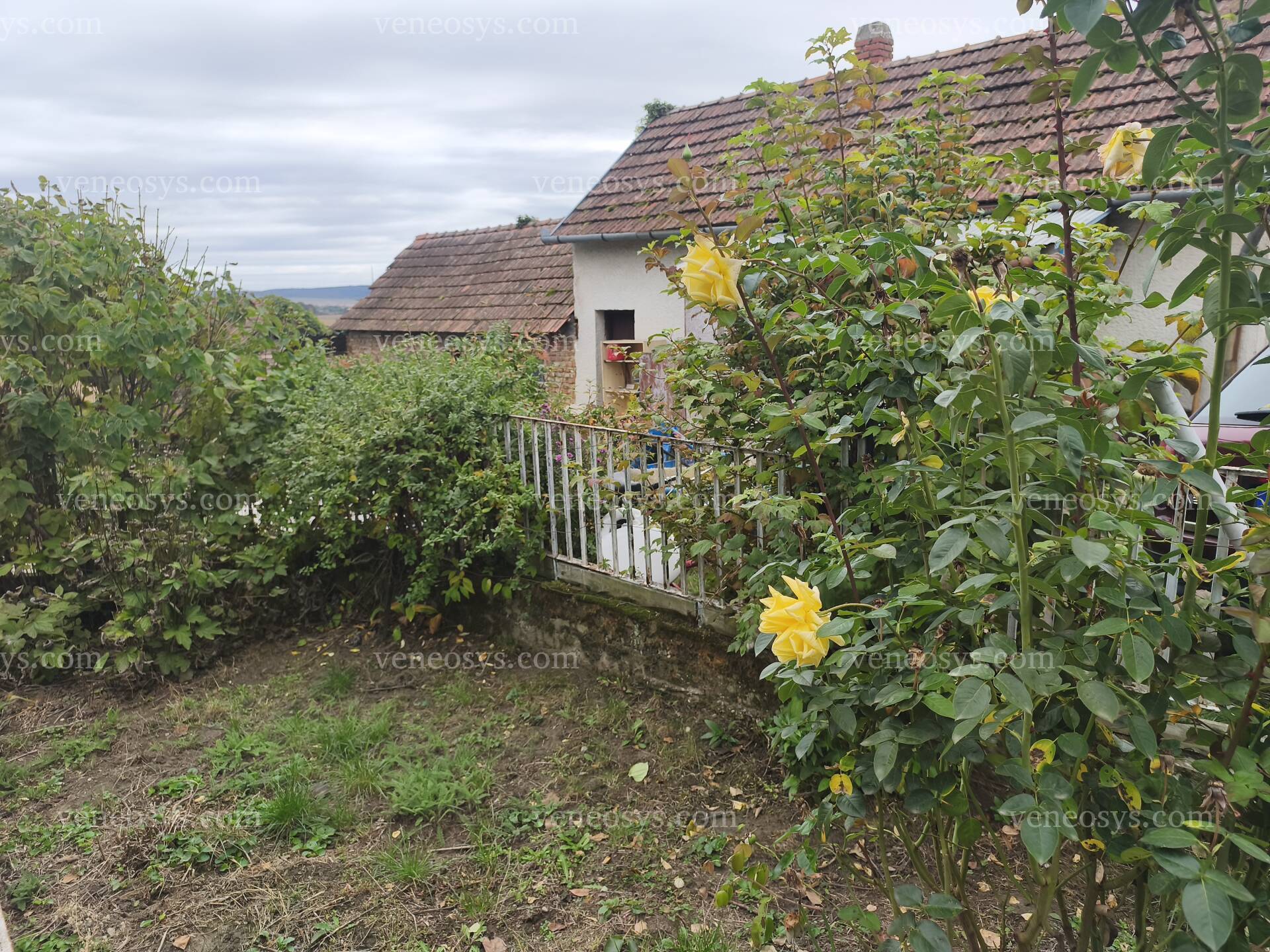 Kép 14