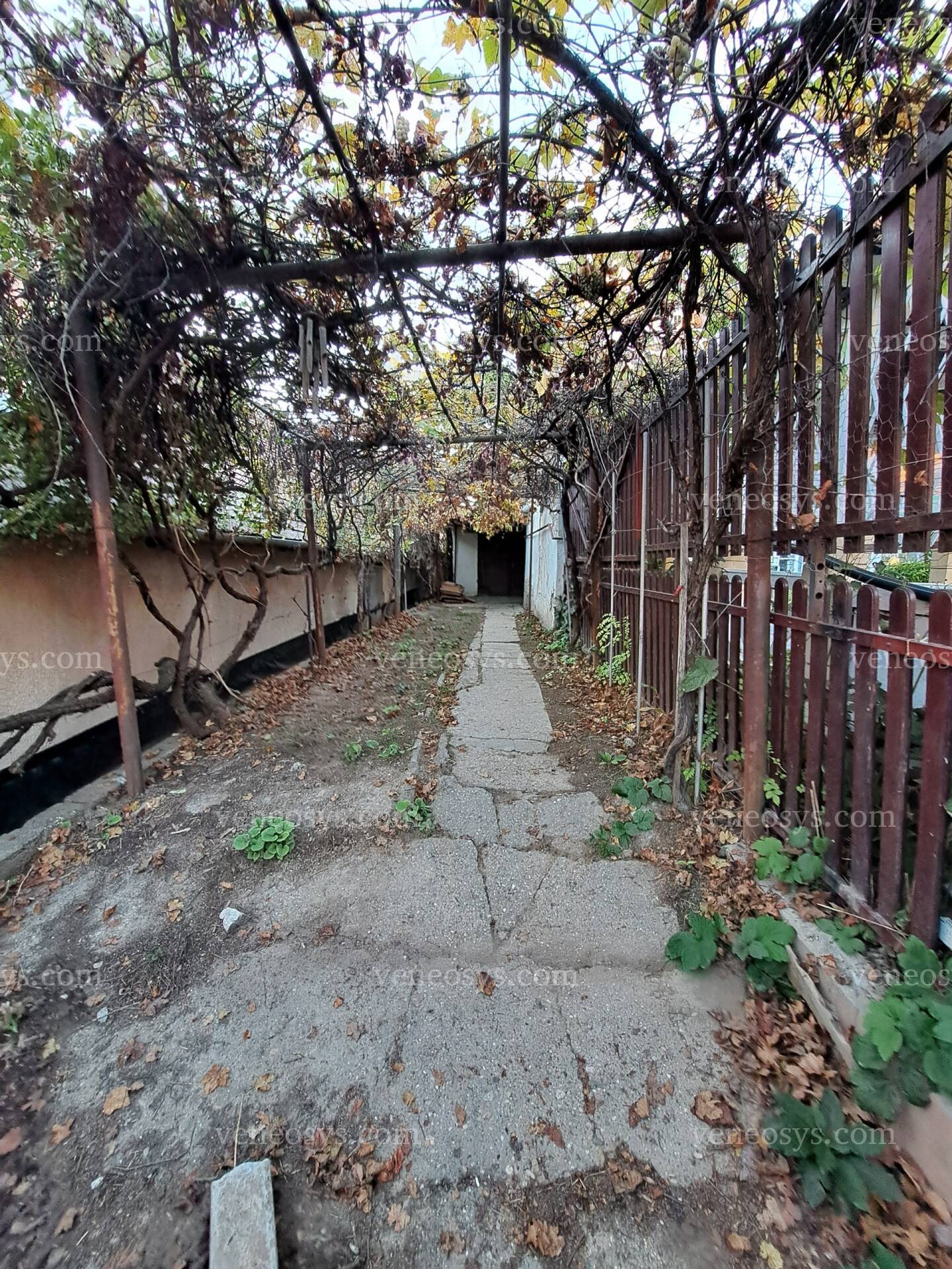 Kép 11