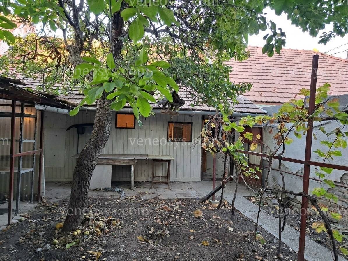 Kép 12