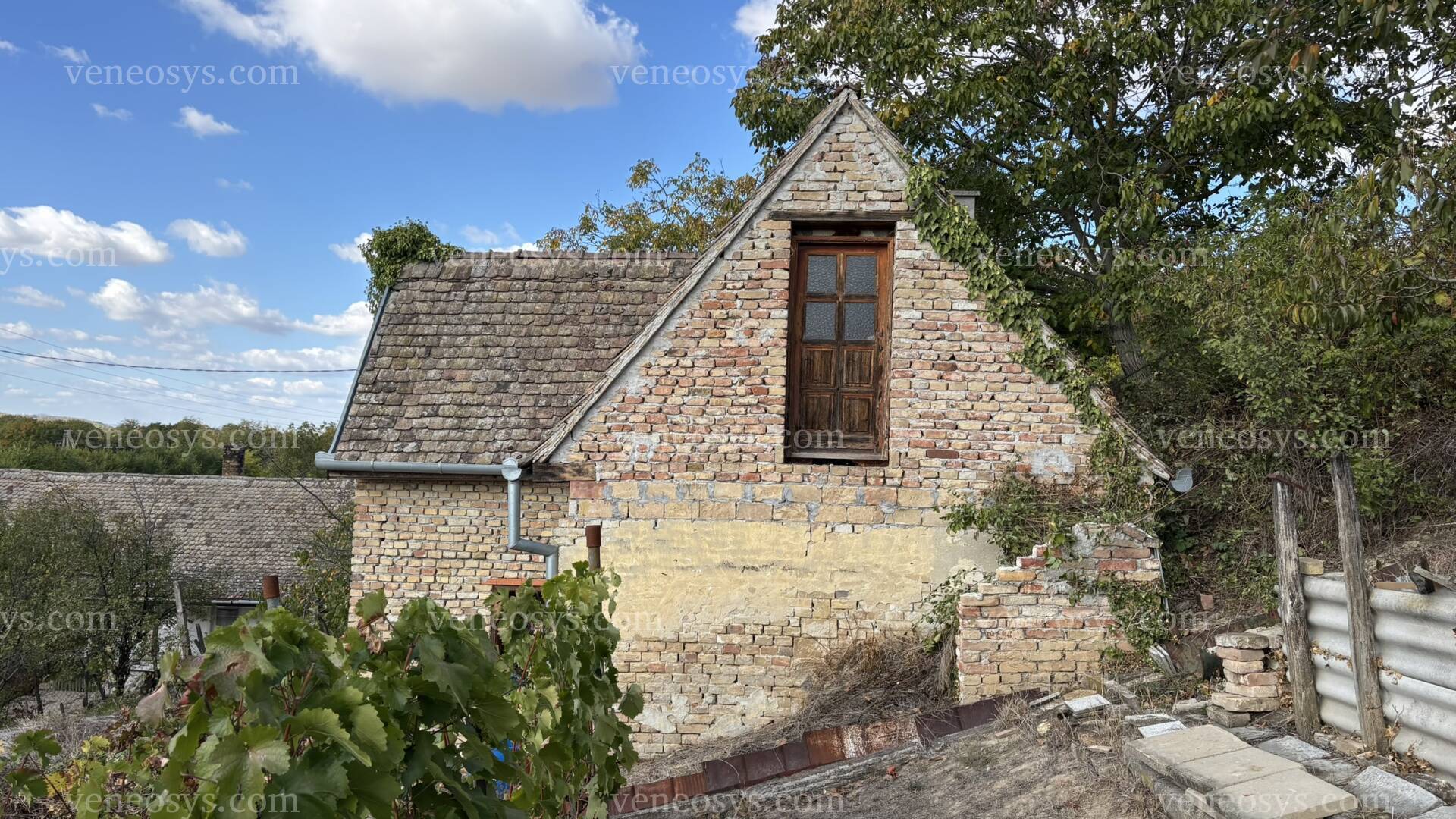 Kép 15
