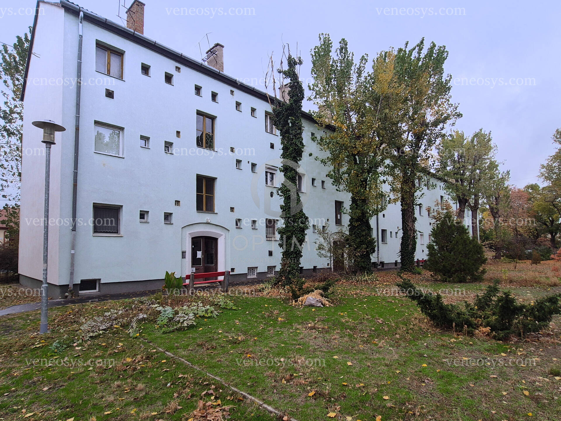 Kép 11