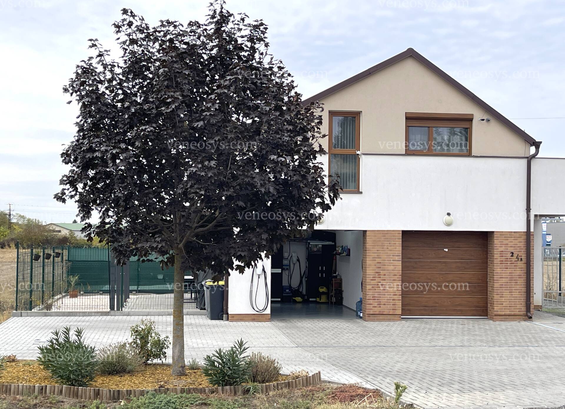 Kép 6