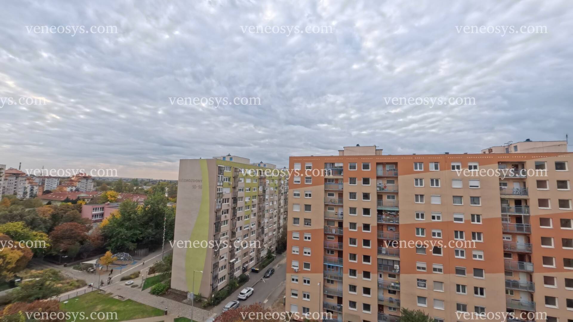 Kép 1
