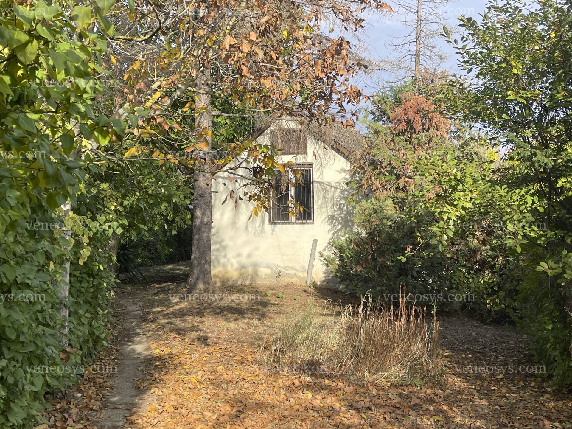 Kép 12