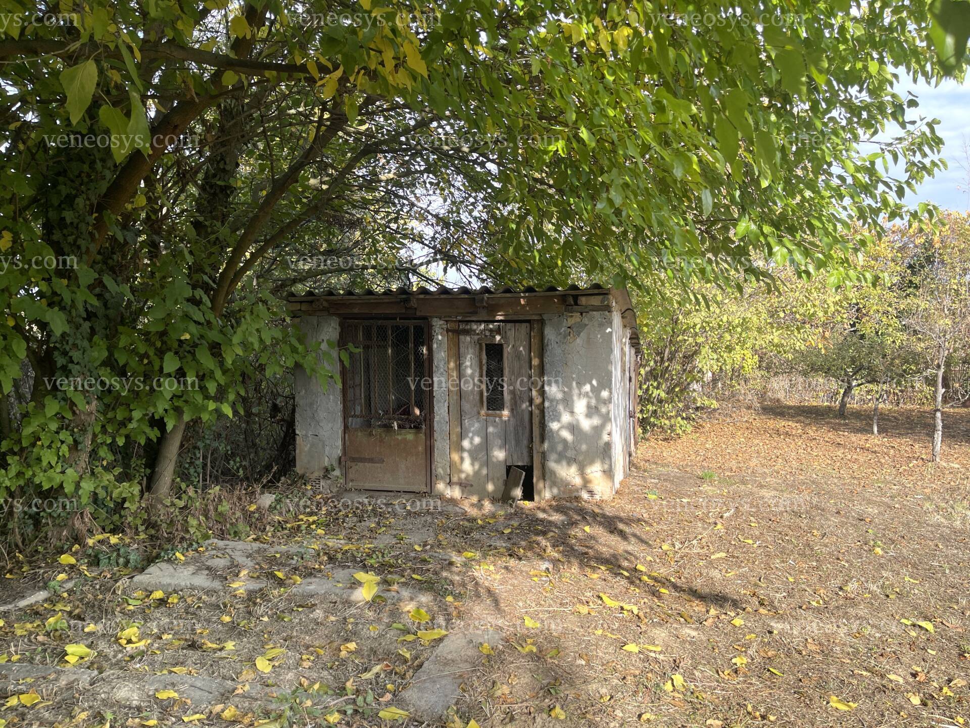Kép 27