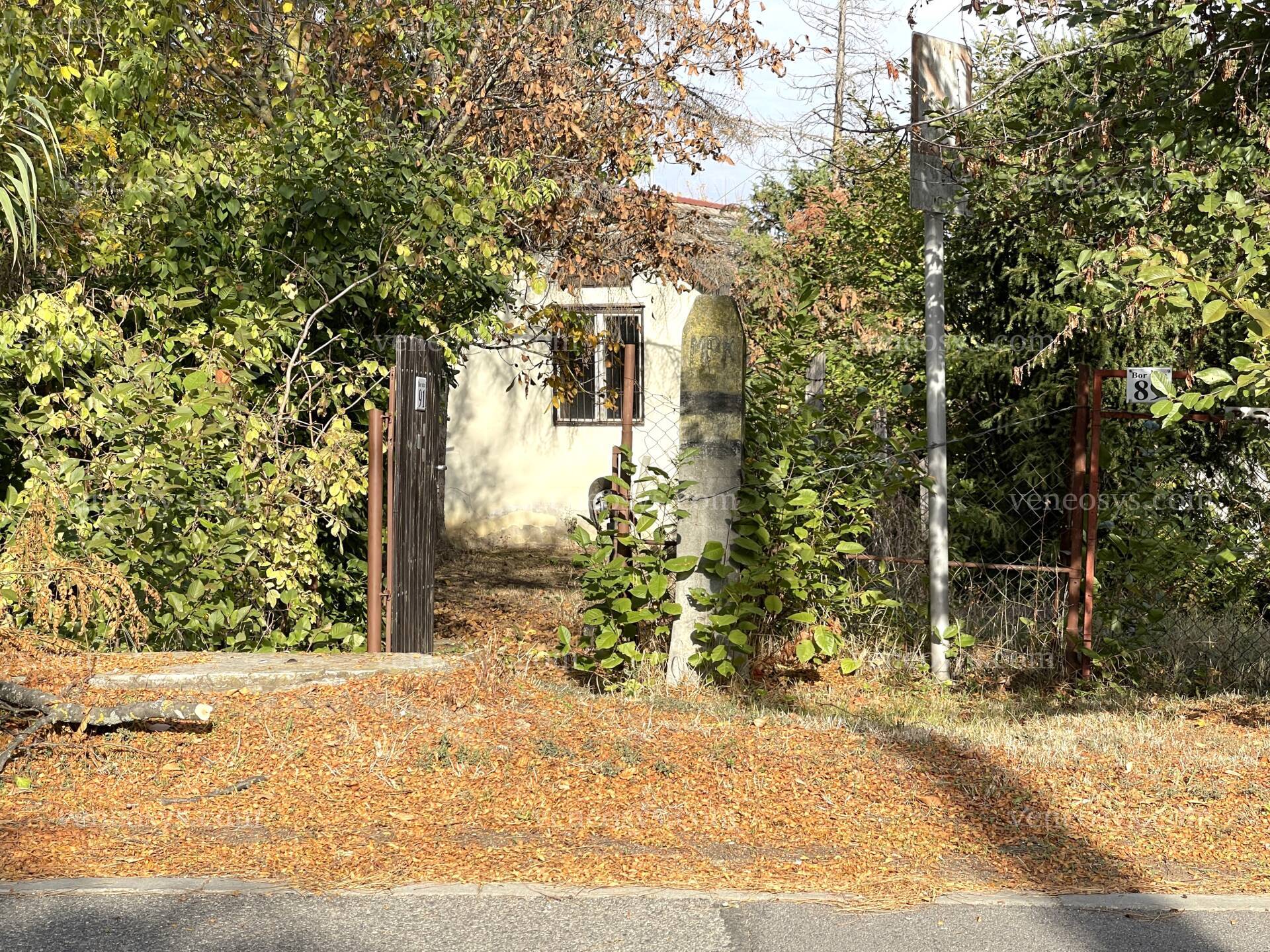 Kép 32