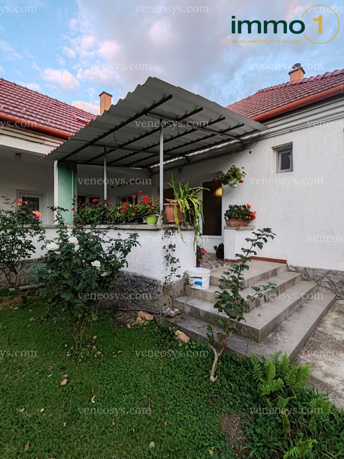 Kép 3
