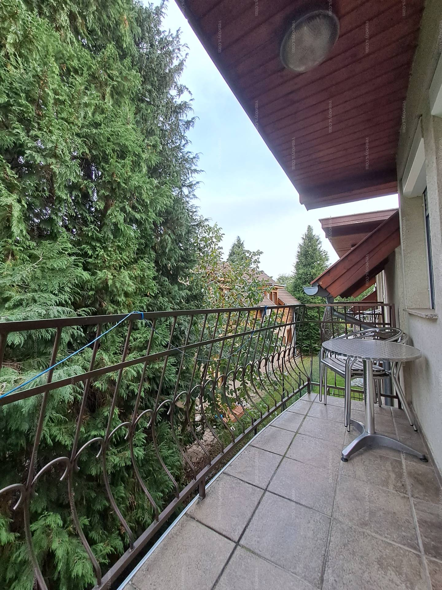 Kép 8