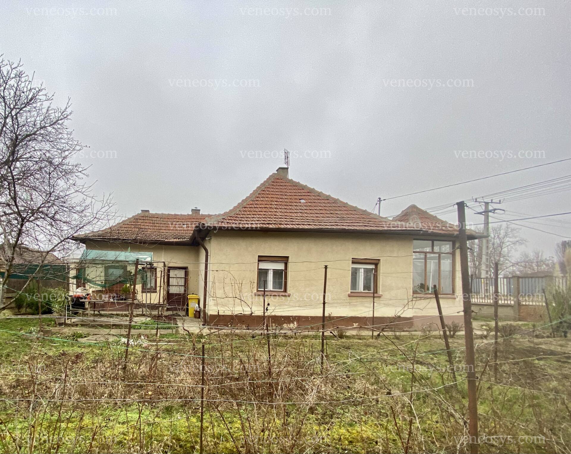 Kép 14