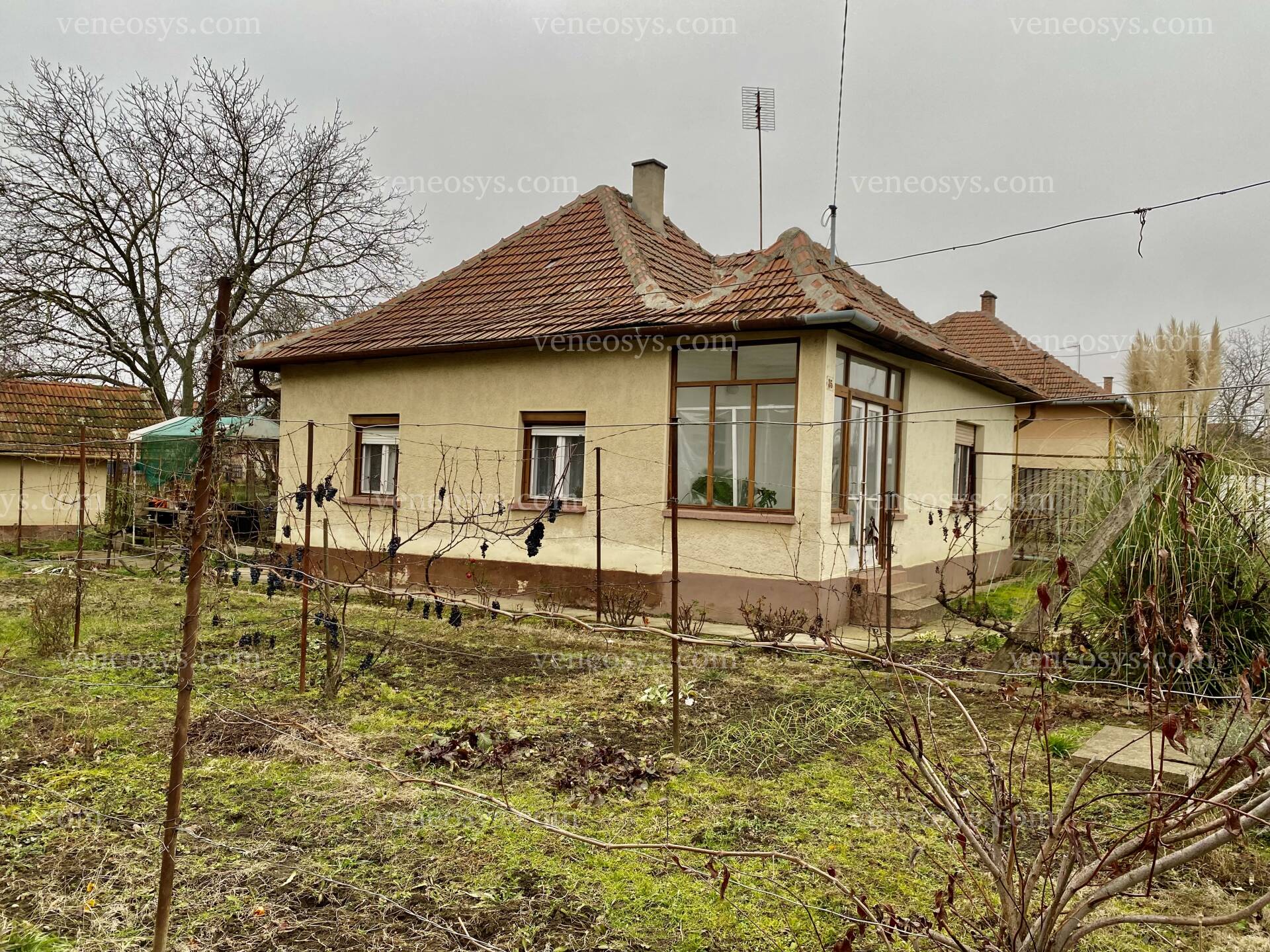 Kép 15