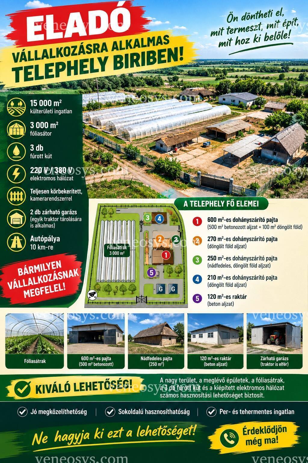 Kép 1