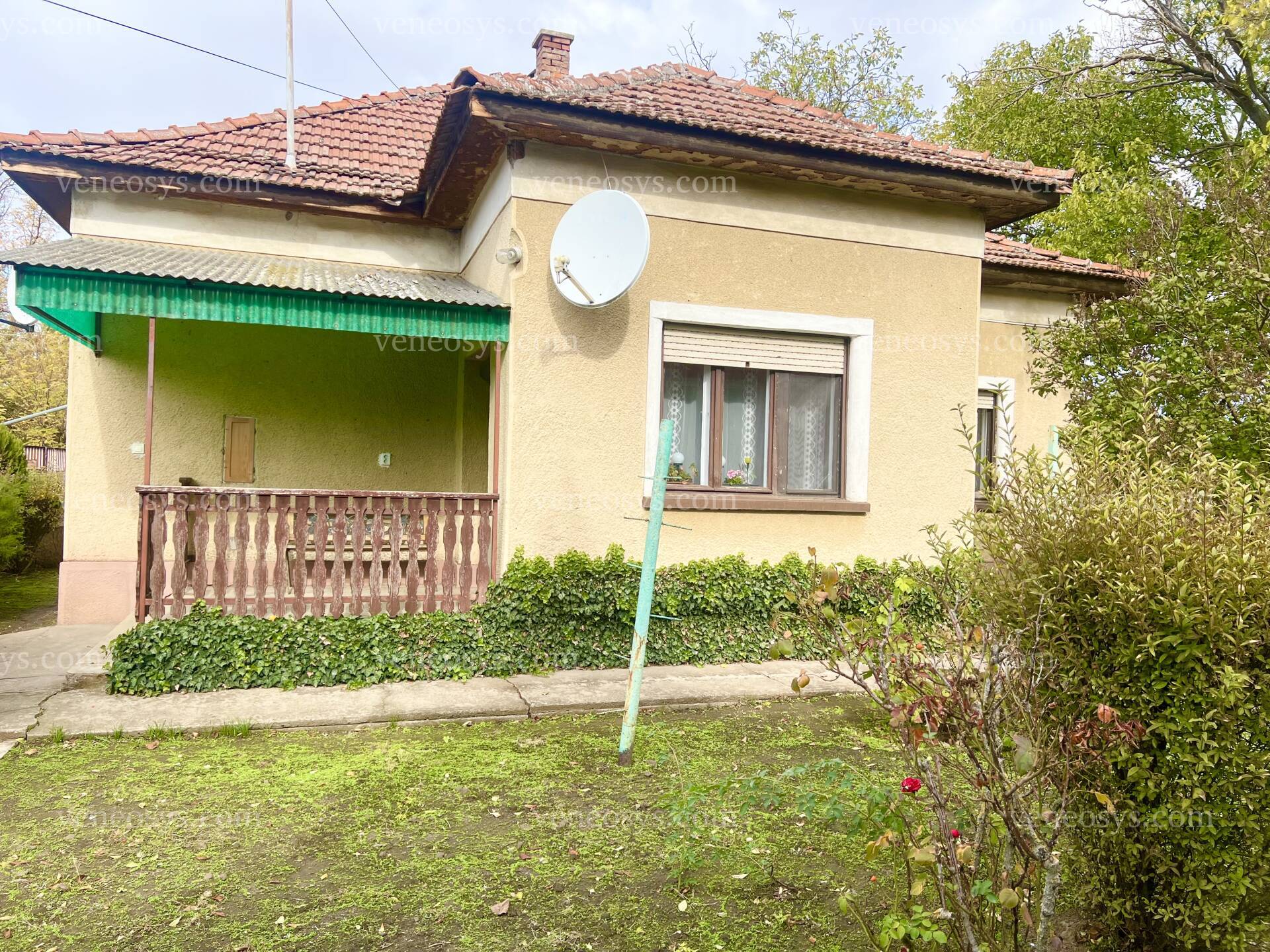 Kép 1