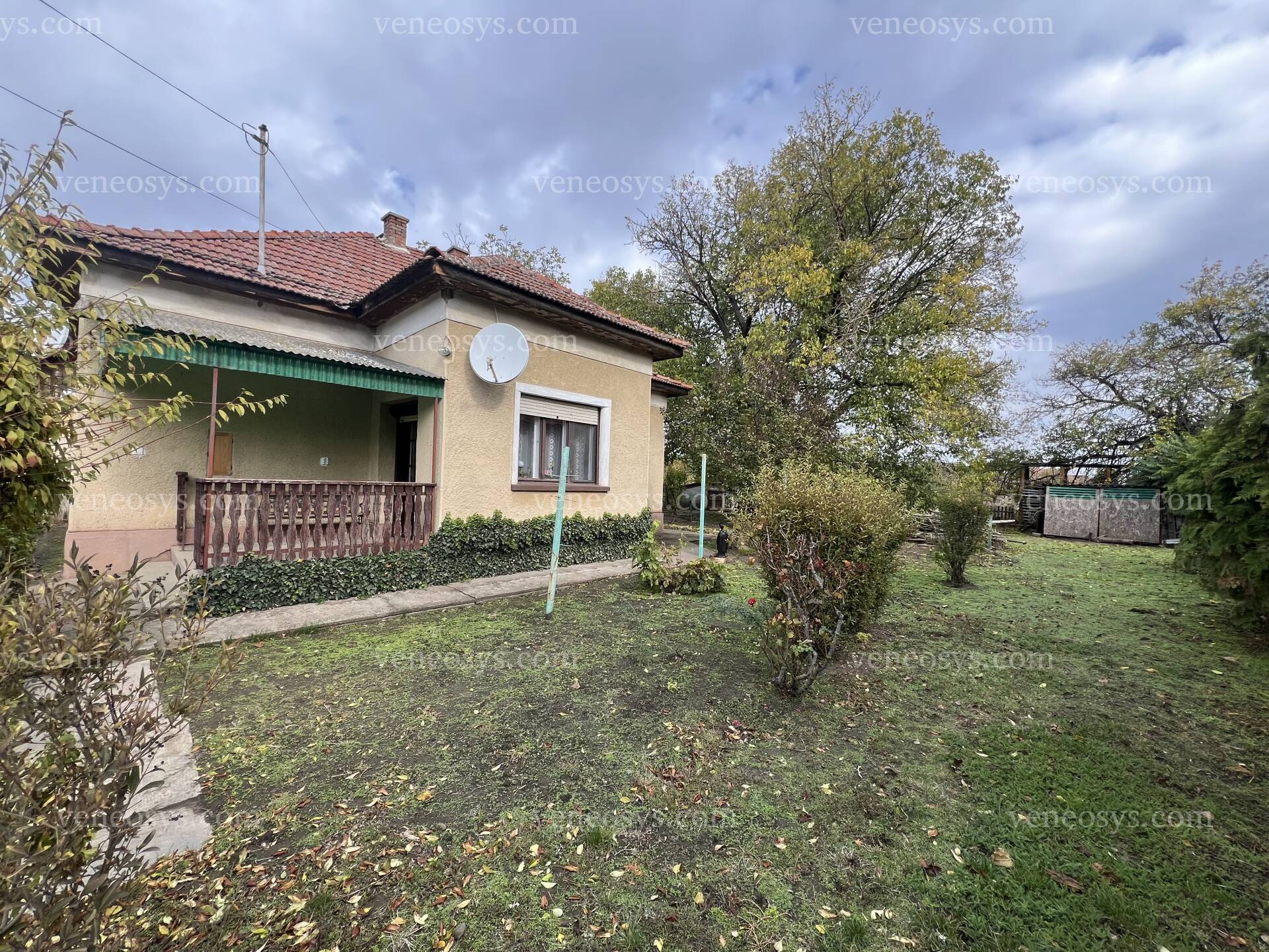 Kép 3