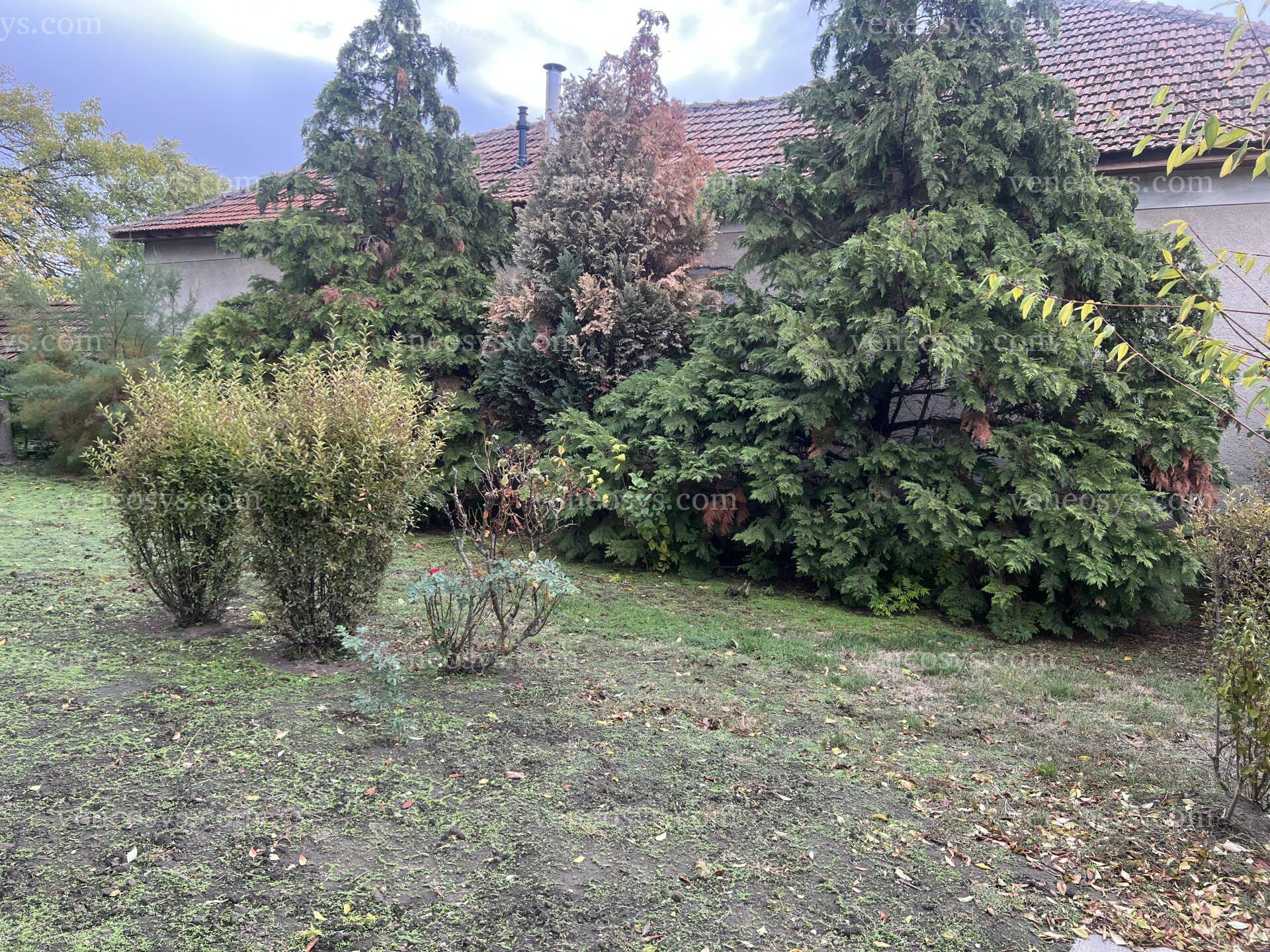 Kép 21