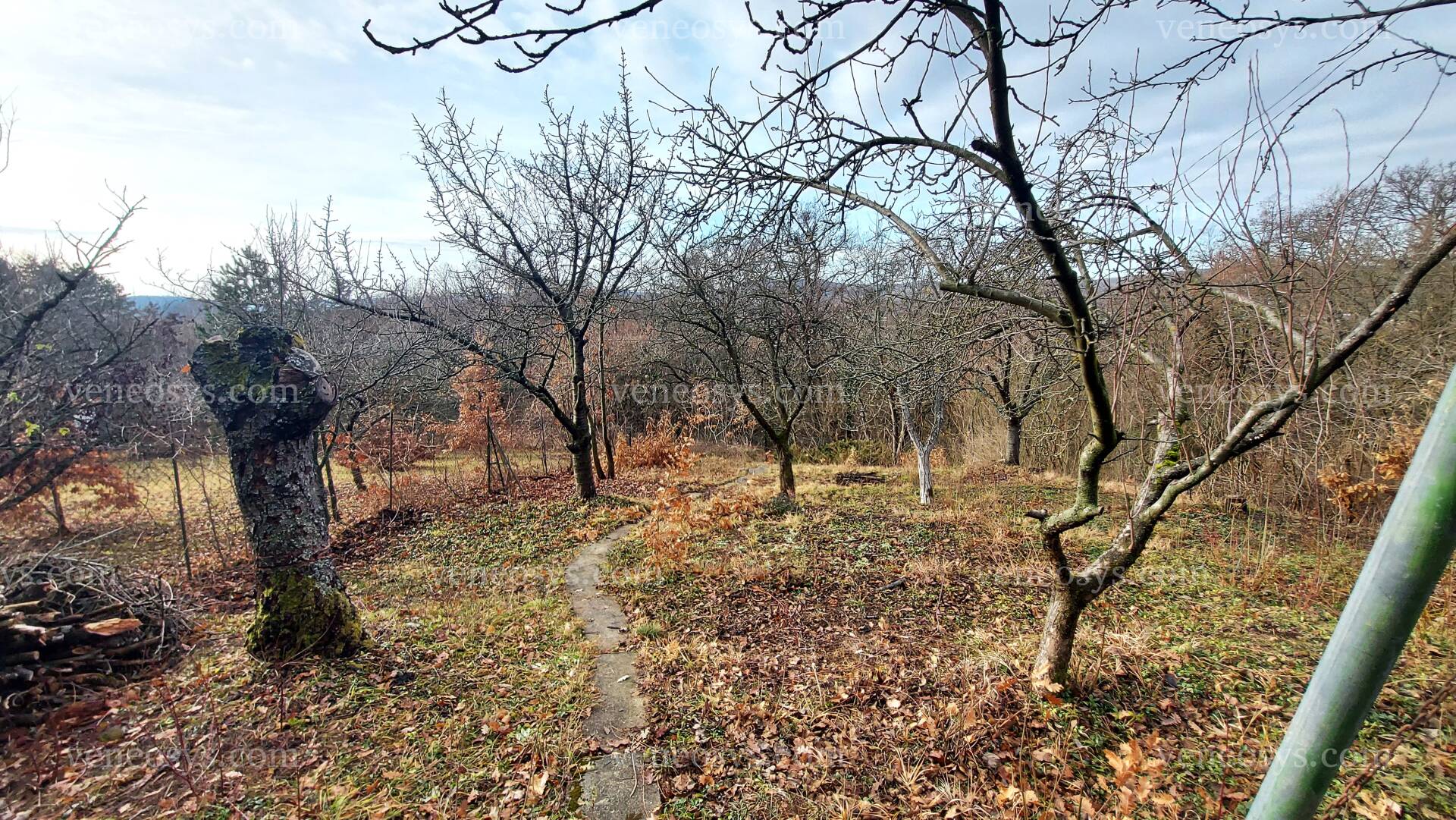 Kép 8