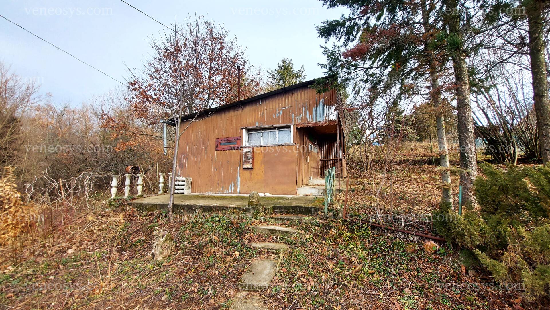 Kép 5