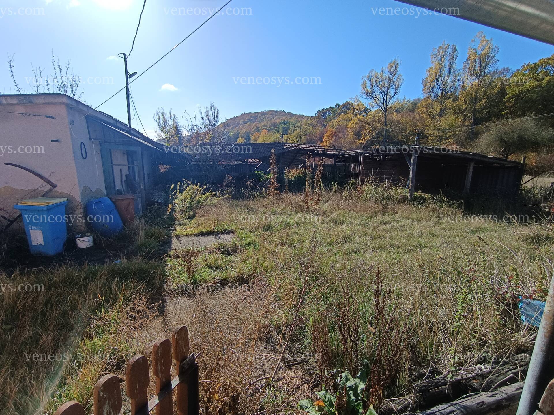 Kép 15