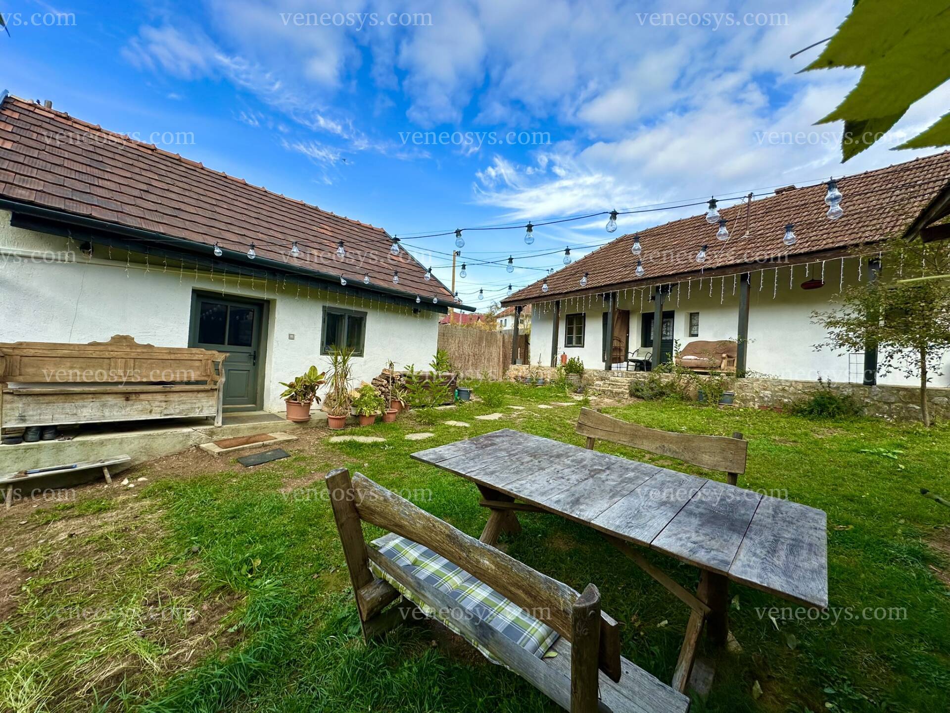 Kép 6