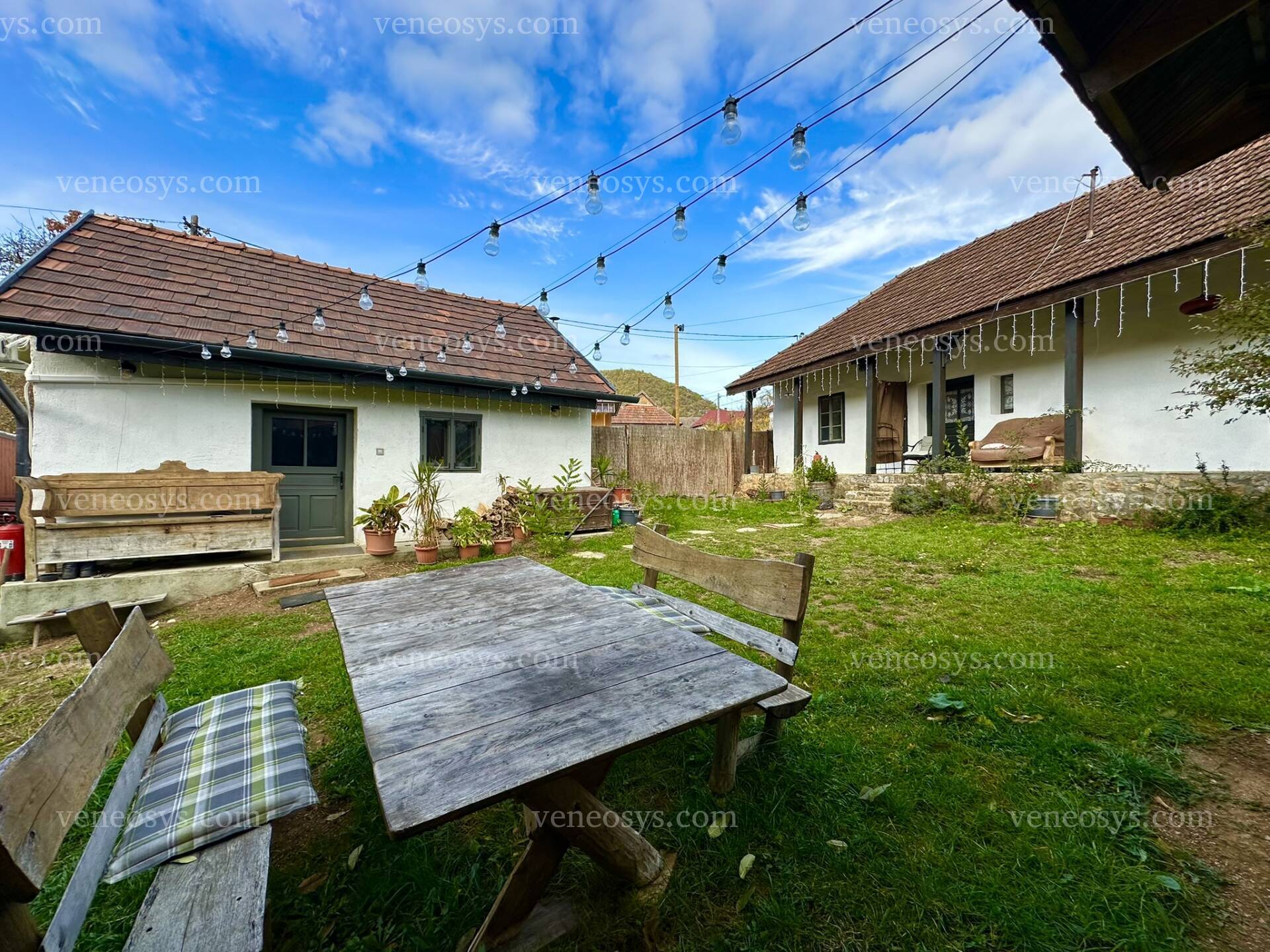 Kép 7