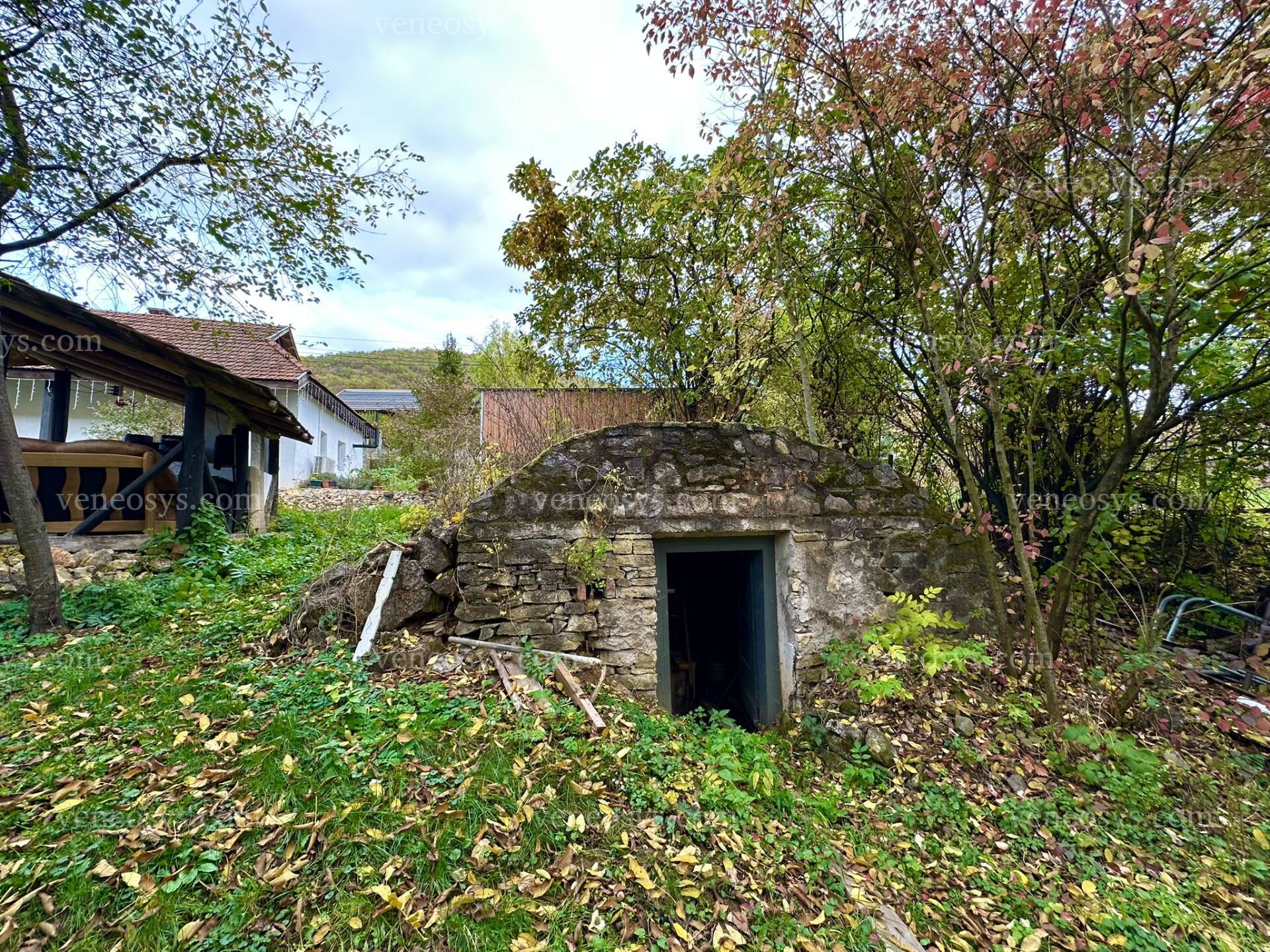 Kép 35