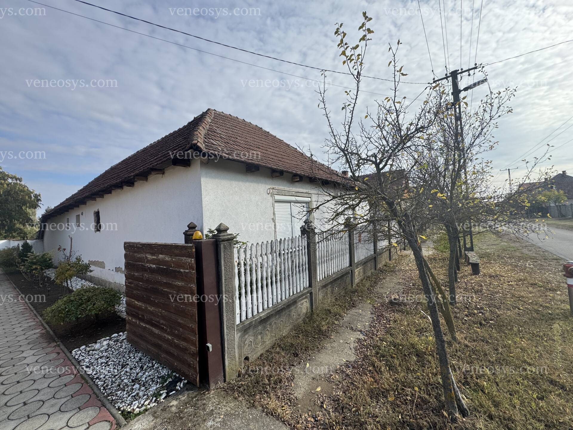 Kép 15