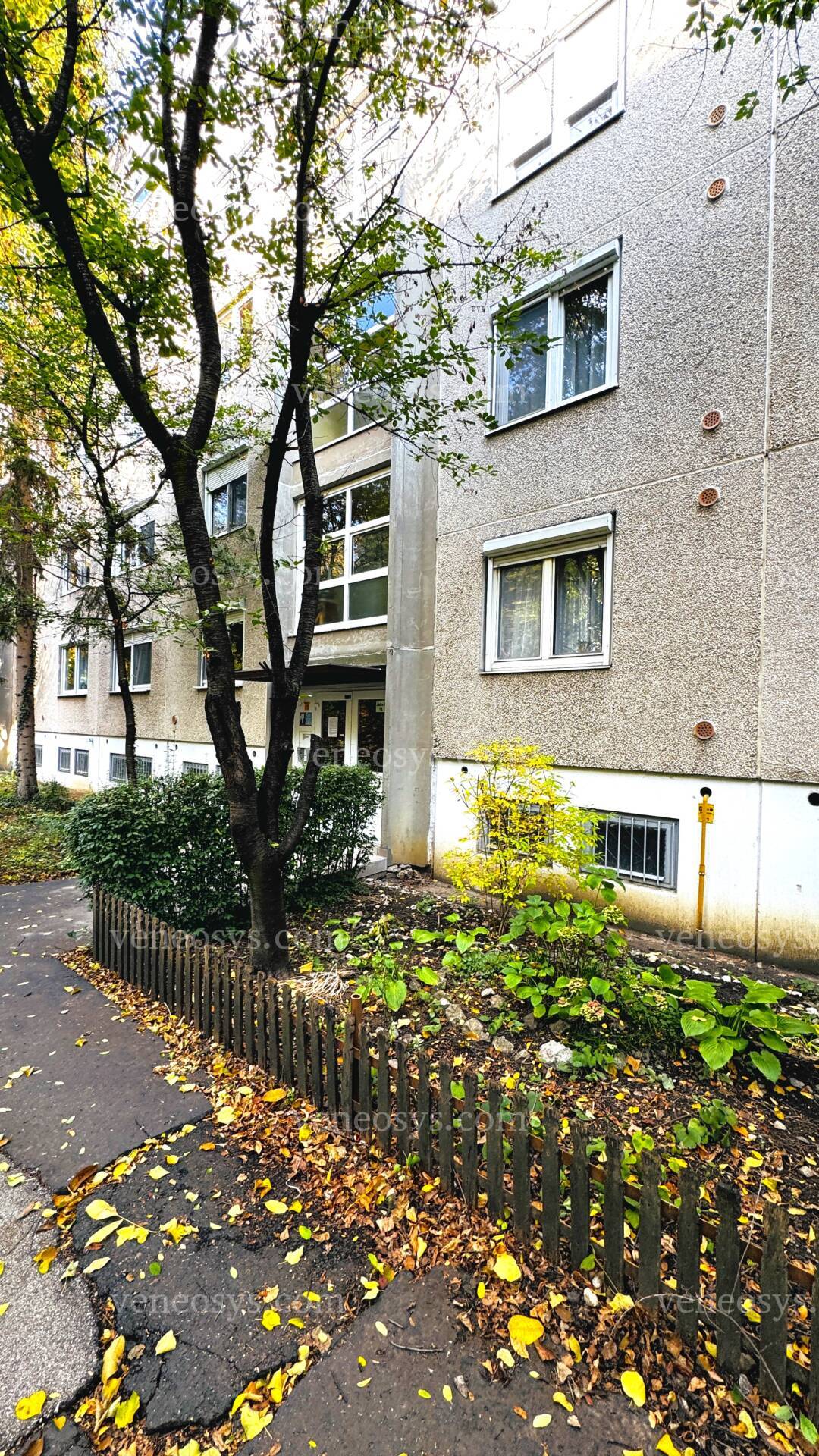 Kép 16