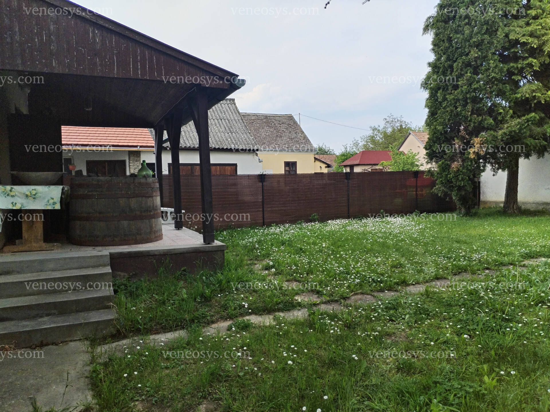 Kép 8