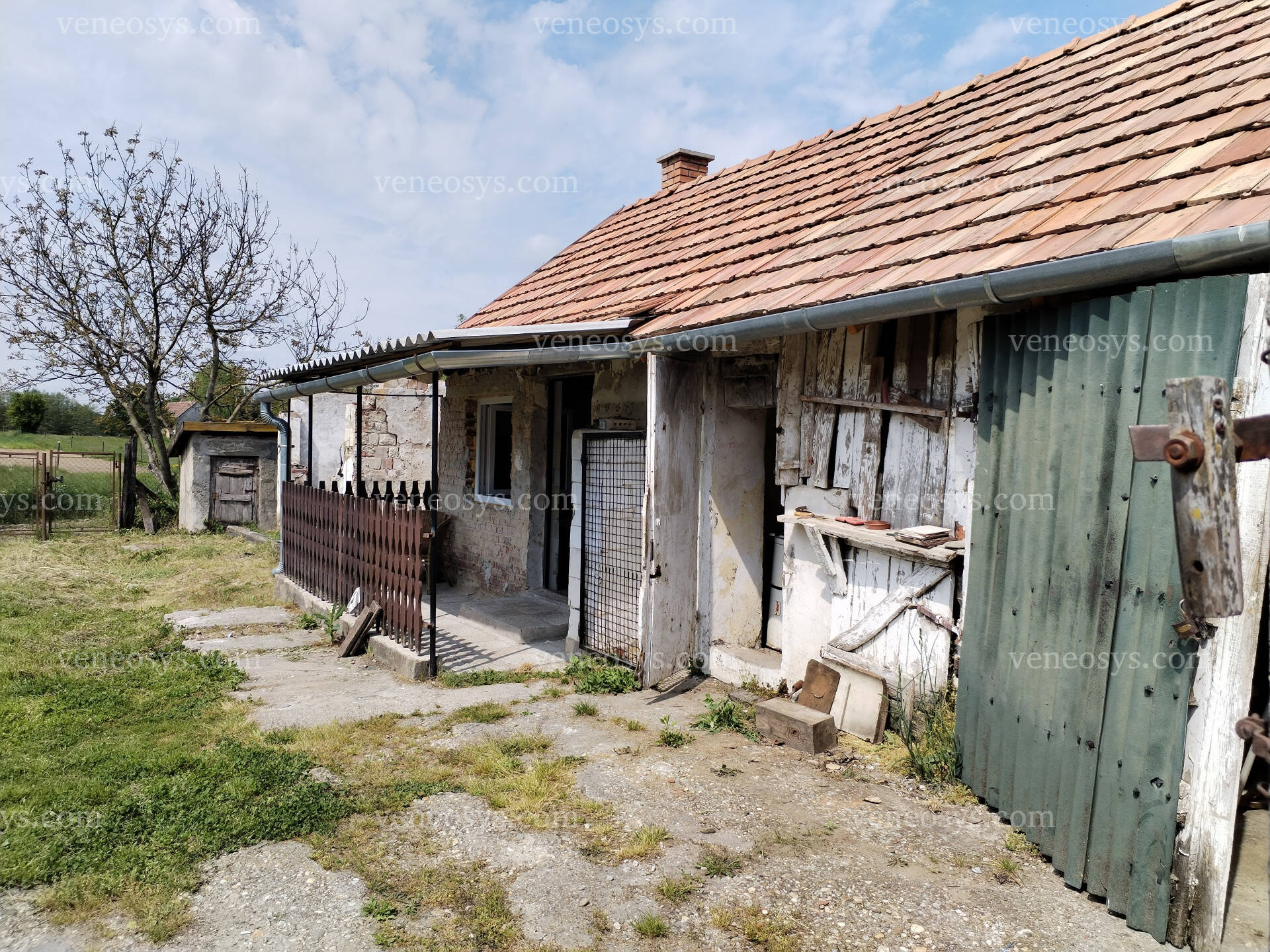 Kép 15