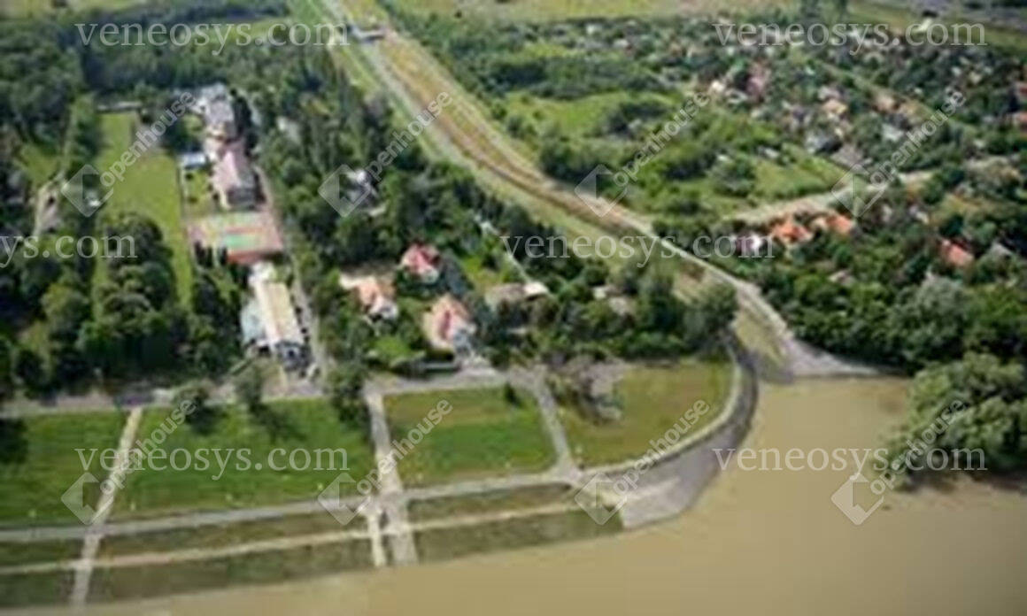 Kép 5