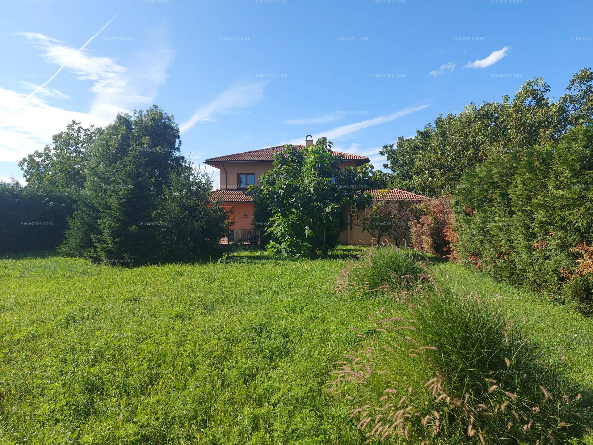 Kép 9