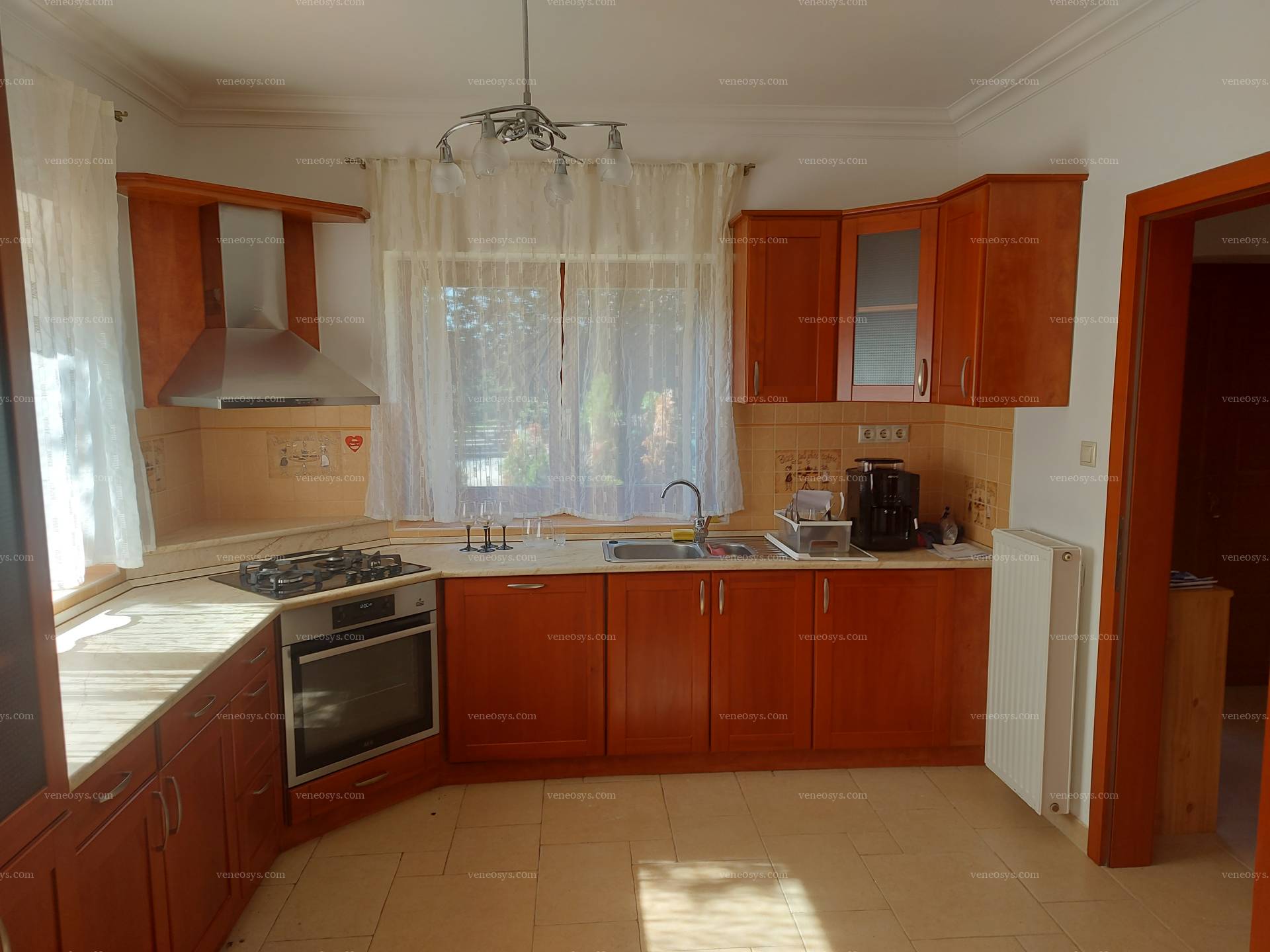 Kép 11