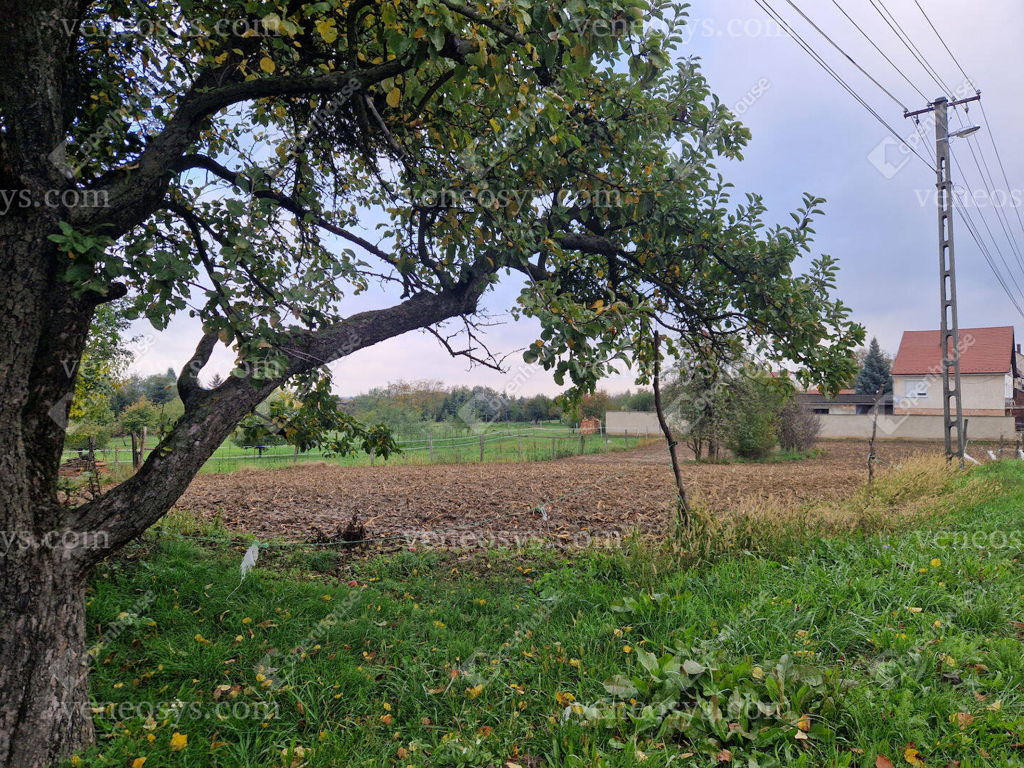 Kép 7