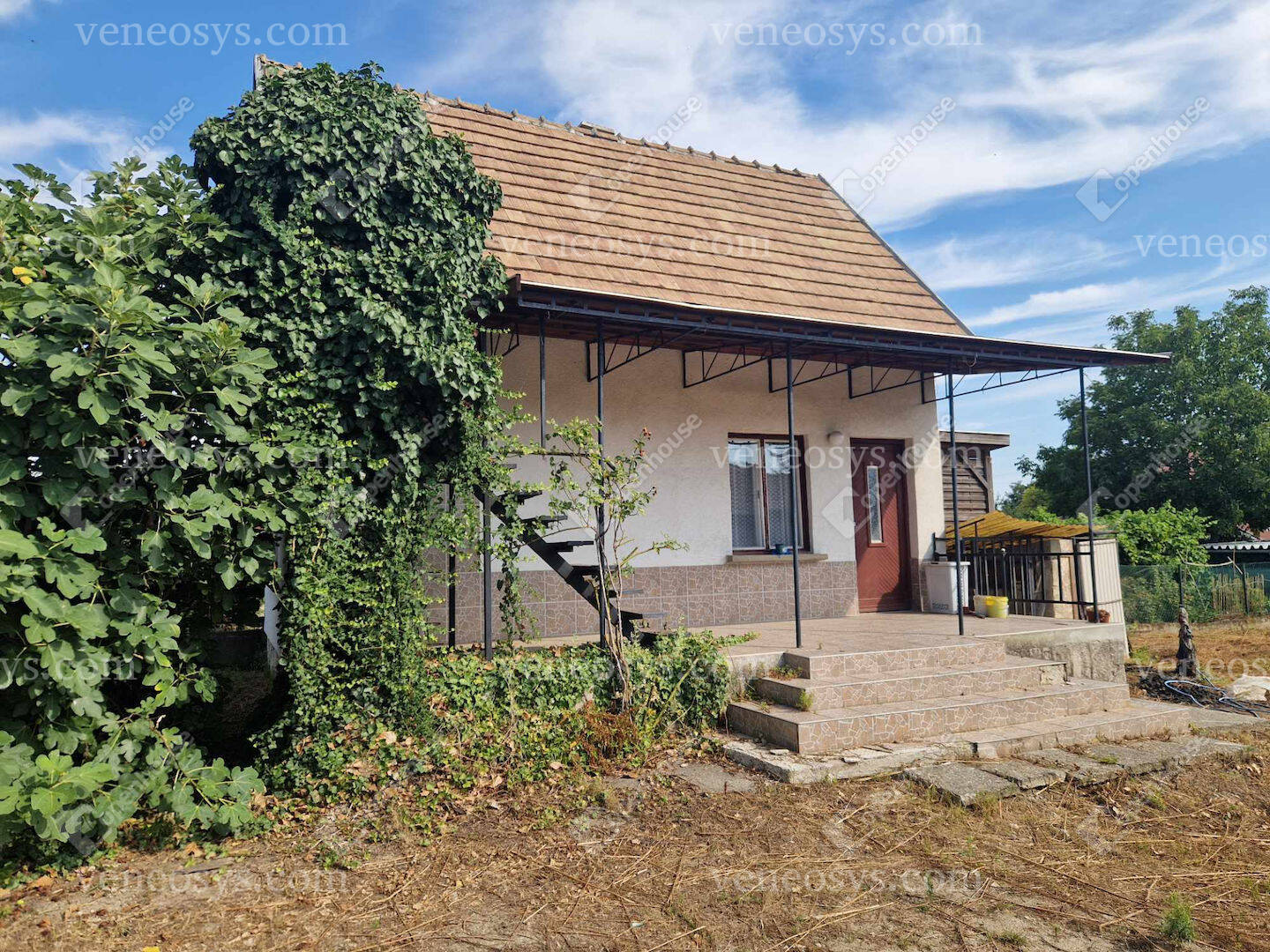 Kép 13