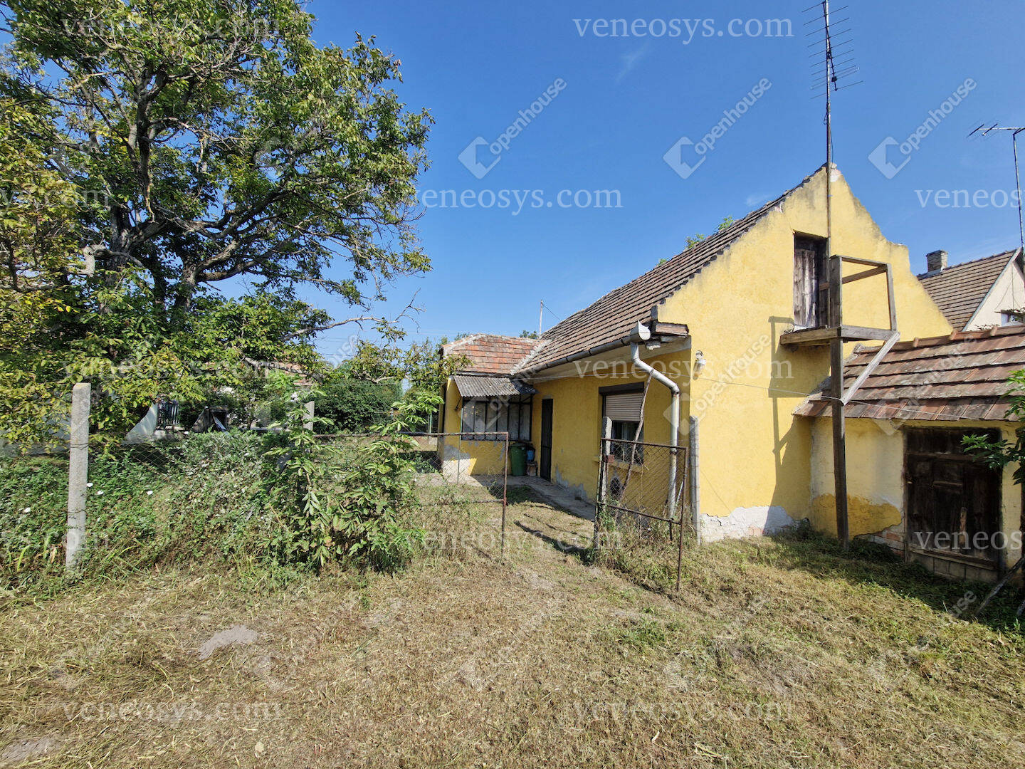 Kép 15