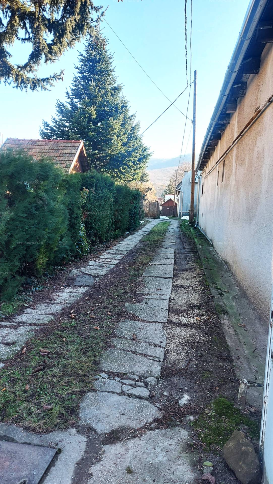 Kép 8