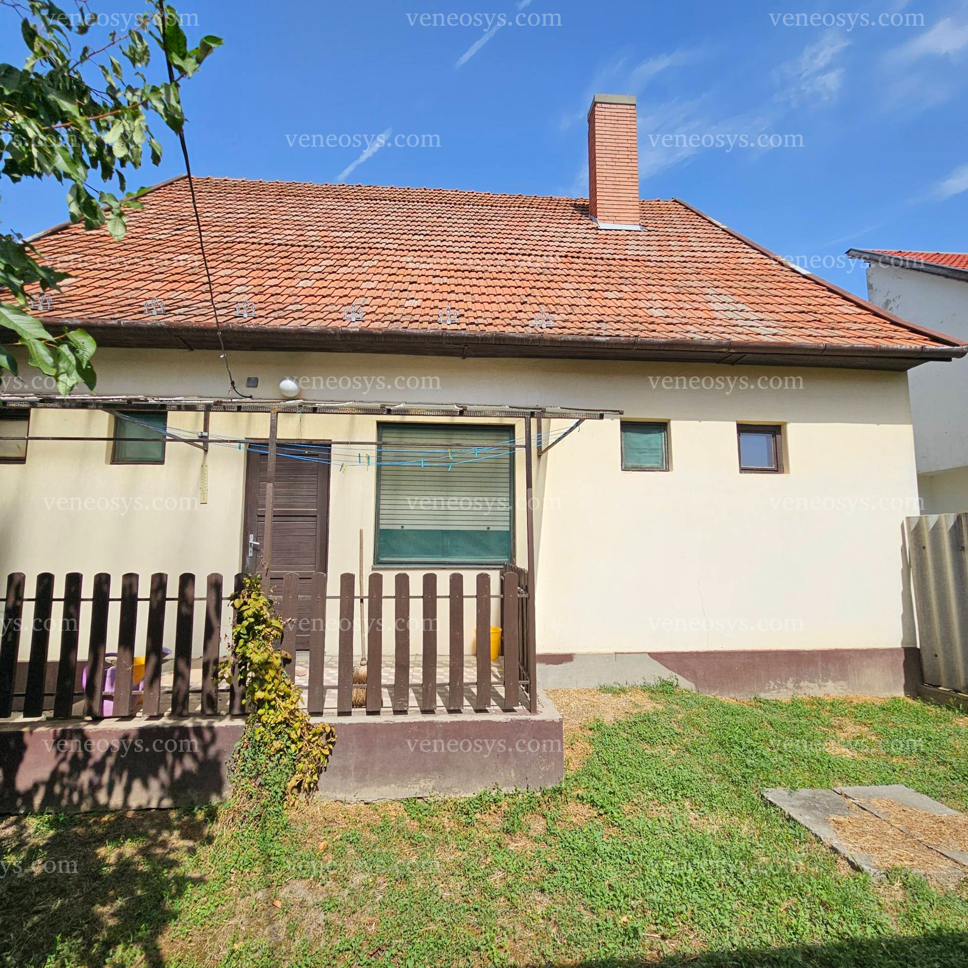 Kép 5