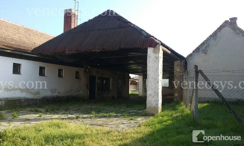 Kép 5
