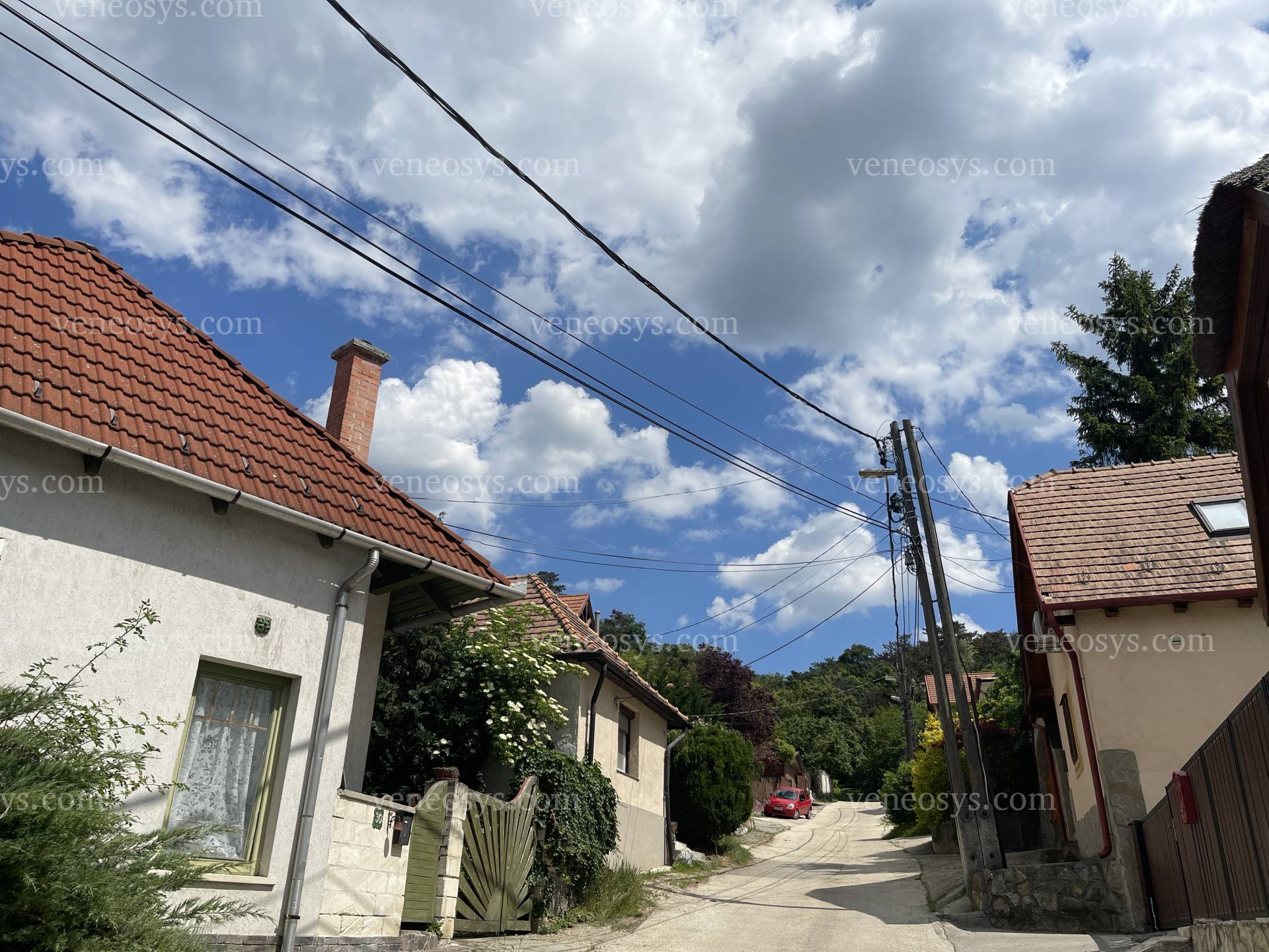 Kép 16