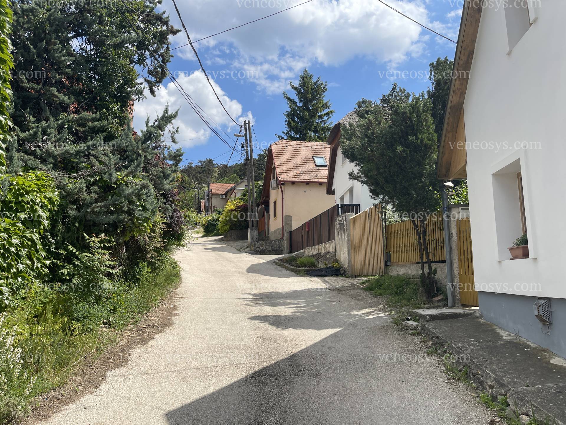 Kép 17