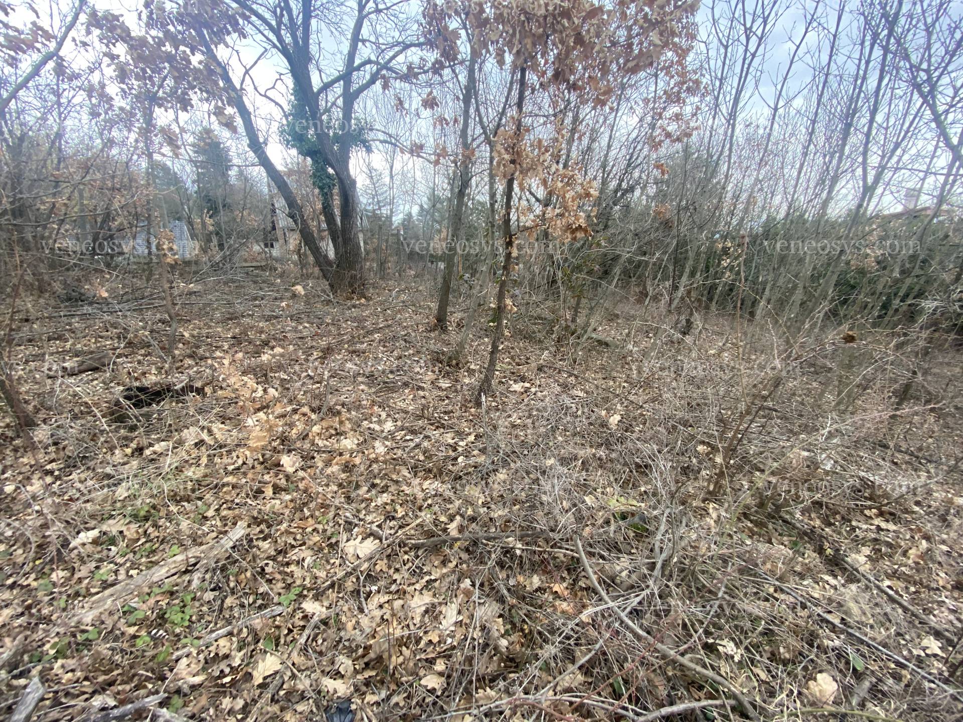 Kép 5