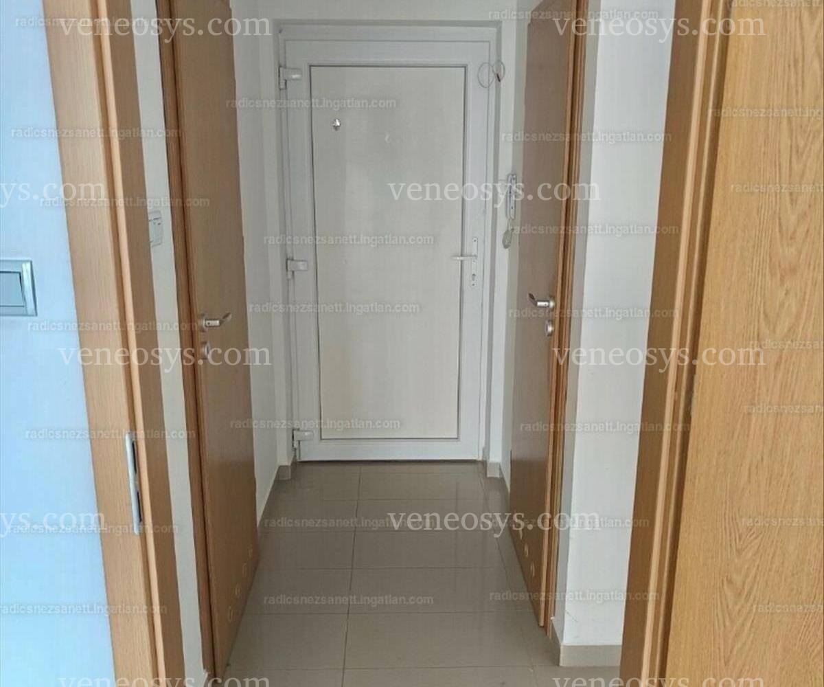 Kép 5