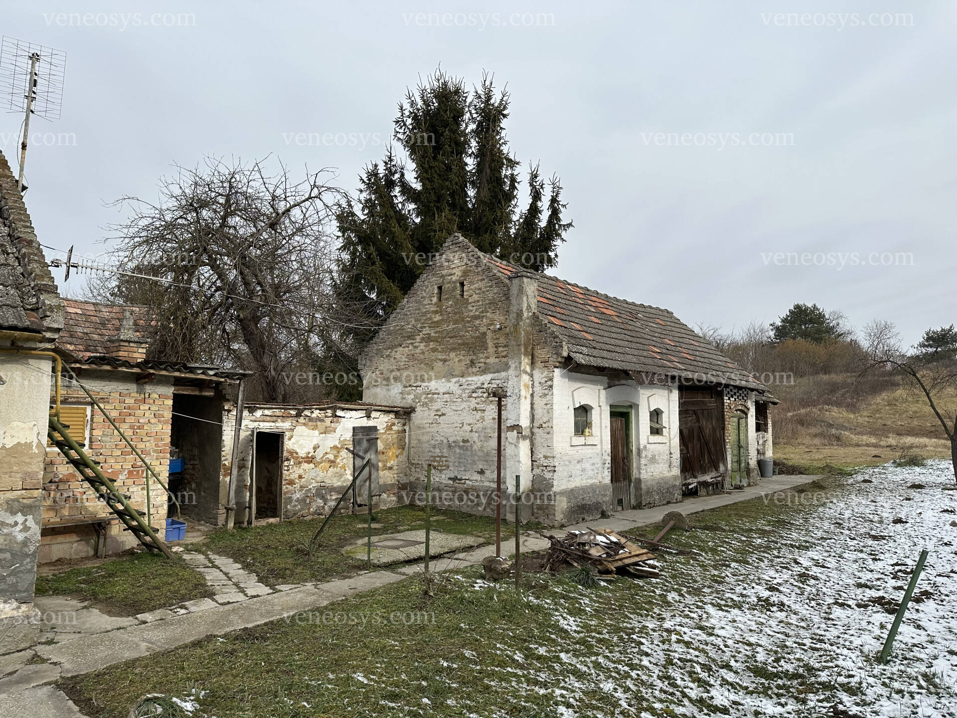 Kép 24