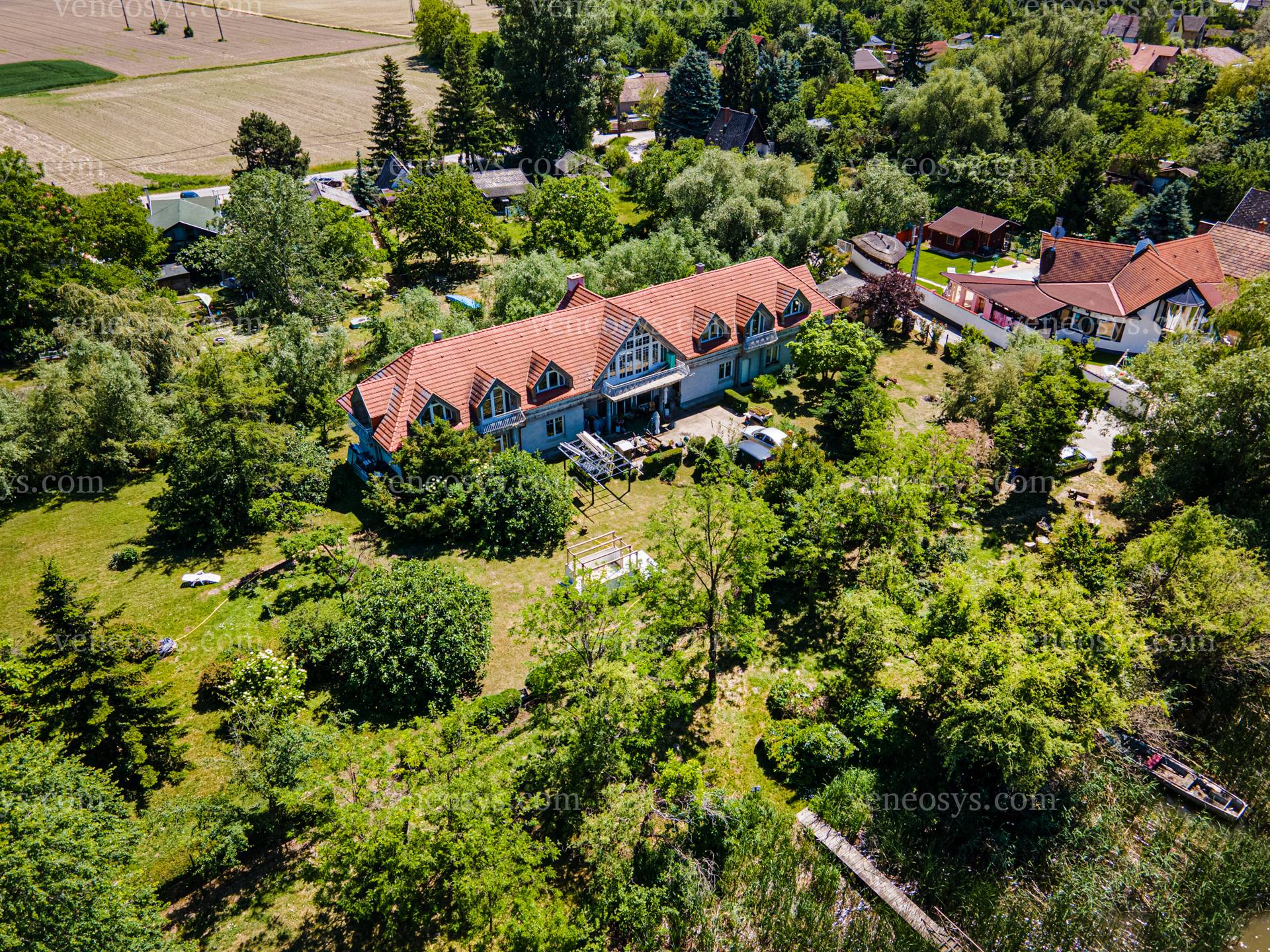 Kép 50