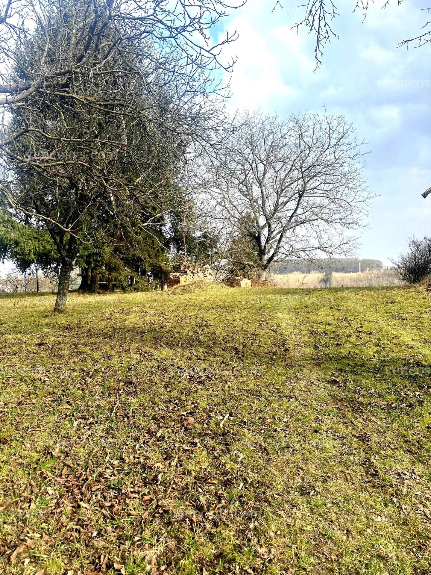 Zalaegerszeg